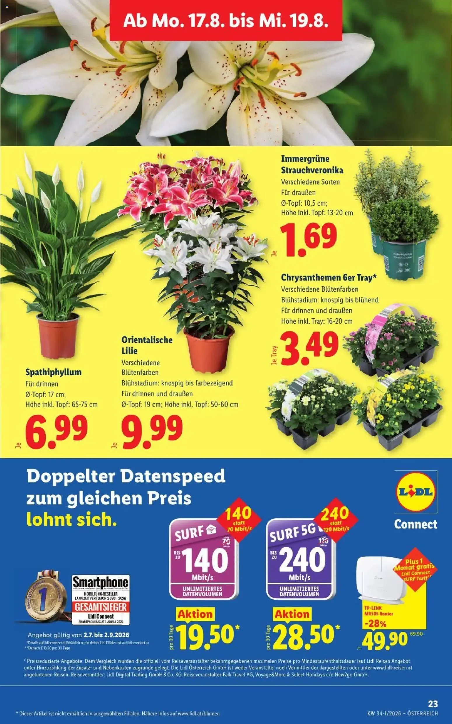 Lidl - Flugblatt ab 13.08.2026 - Angebote ab donnerstag von 13. August bis 14. August 2026 - Flugblätt seite 30