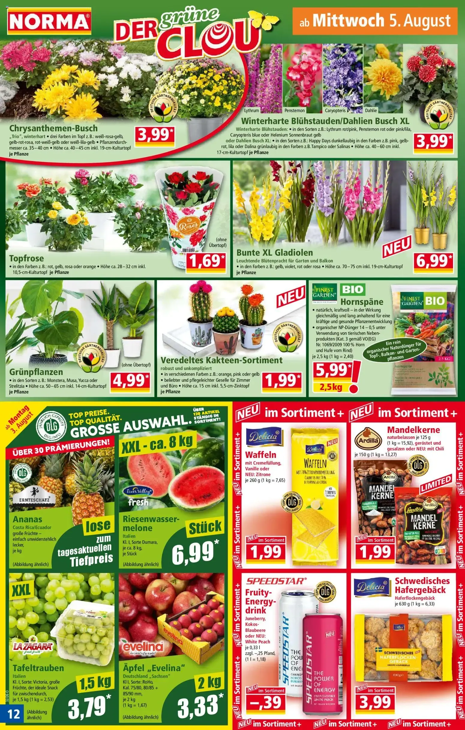 NORMA Mehr fürs Geld. Coole SOMMERBASICS von 3. August bis 9. August 2026 - Prospekt seite 12