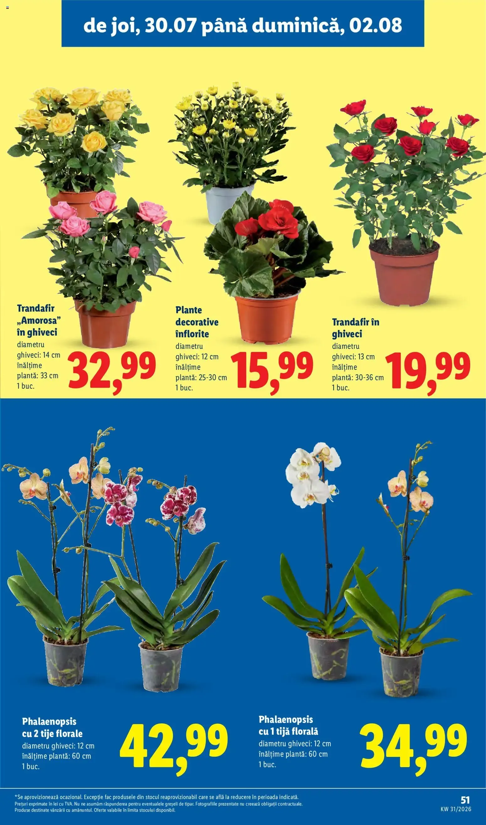 Catalog Catalog LIDL 27.07.2026 - Oferta și Revista online de la 27 iulie până la 2 august 2026 - Revista Pagina 51