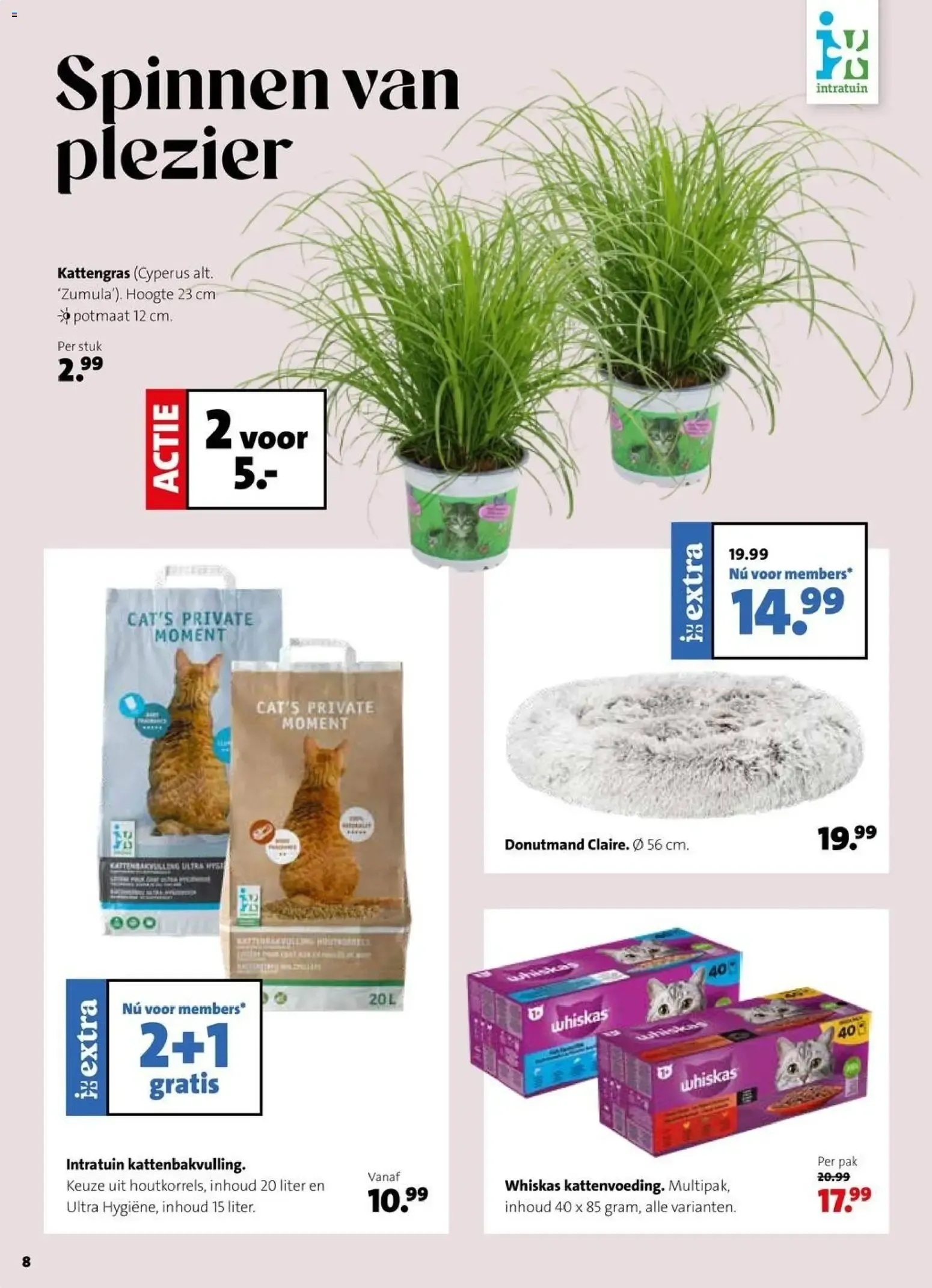 Intratuin: Feest voor ieder beest! Krabpalen 25% korting van 28 september tot 4 oktober 2026 - Folder pagina 4