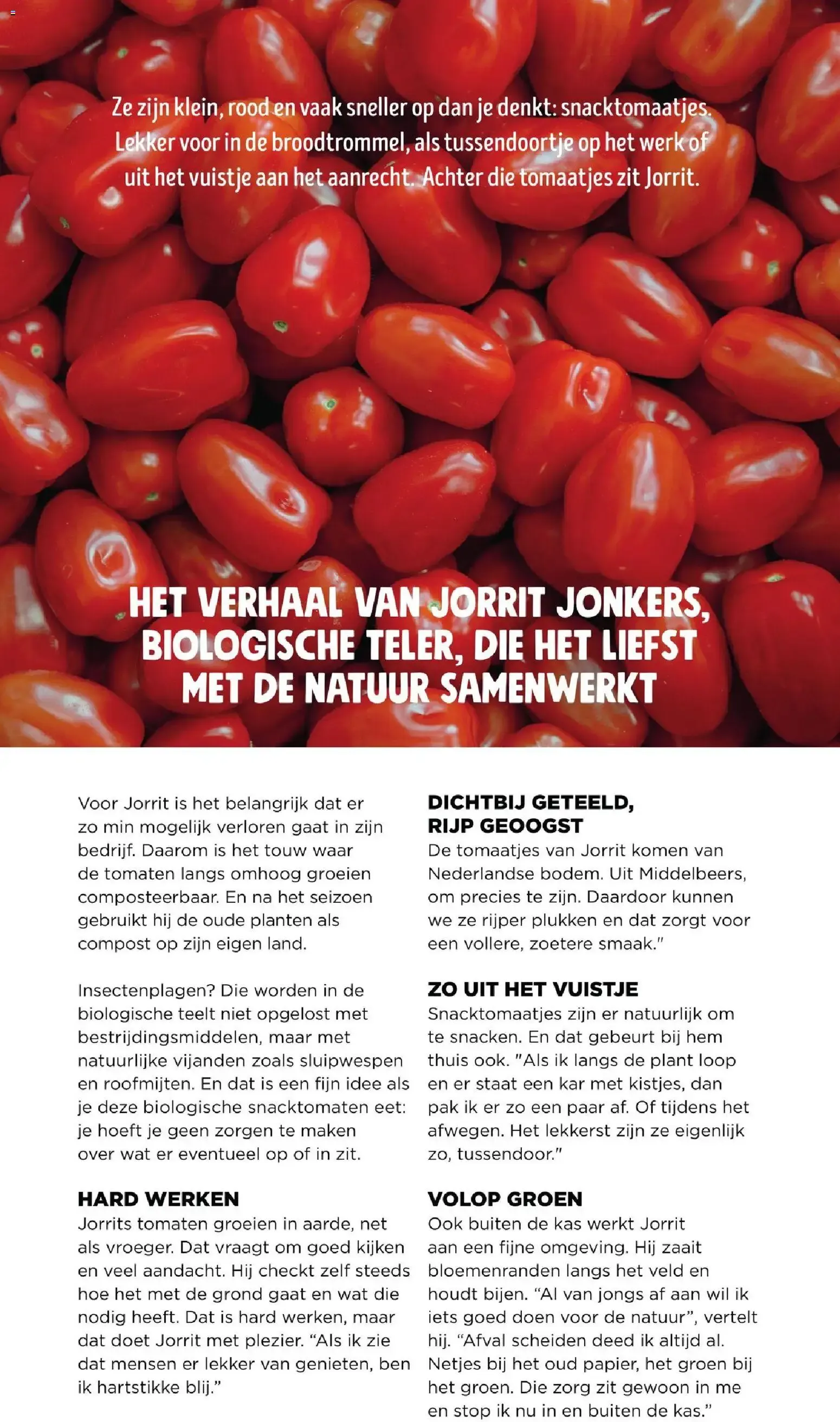 JUMMM: Terug in het ritme met school, werk en sport van 24 augustus tot 21 oktober 2026 - Folder pagina 20