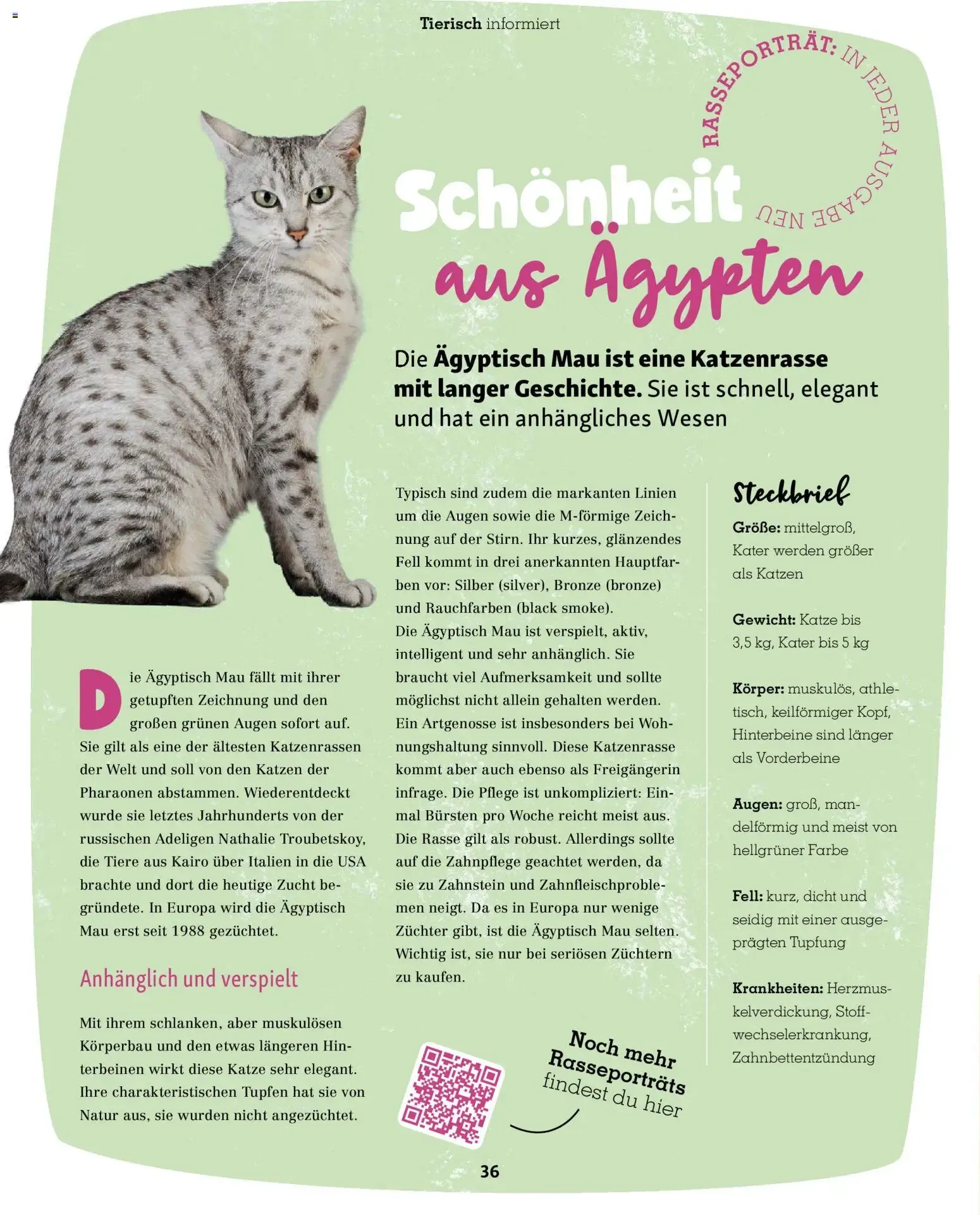FRESSNAPF Friends - Europas größtes Haustier-Magazin von 1. Juli bis 31. August 2026 - Prospekt seite 36