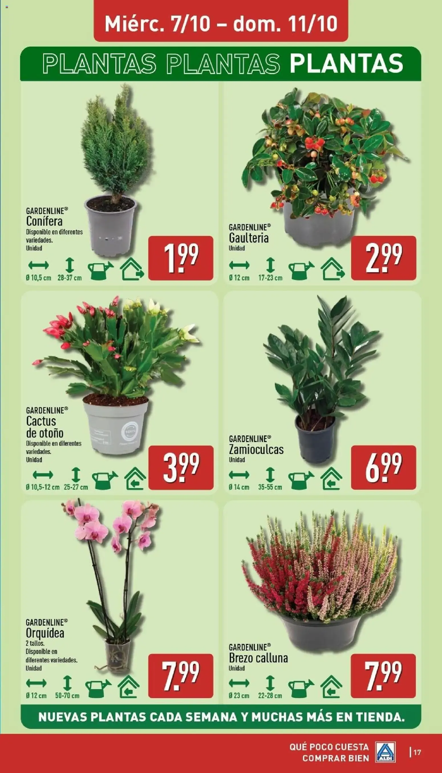 Catálogo de Folleto de ofertas Aldi 5 de octubre al 11 de octubre 2026 - Página 17
