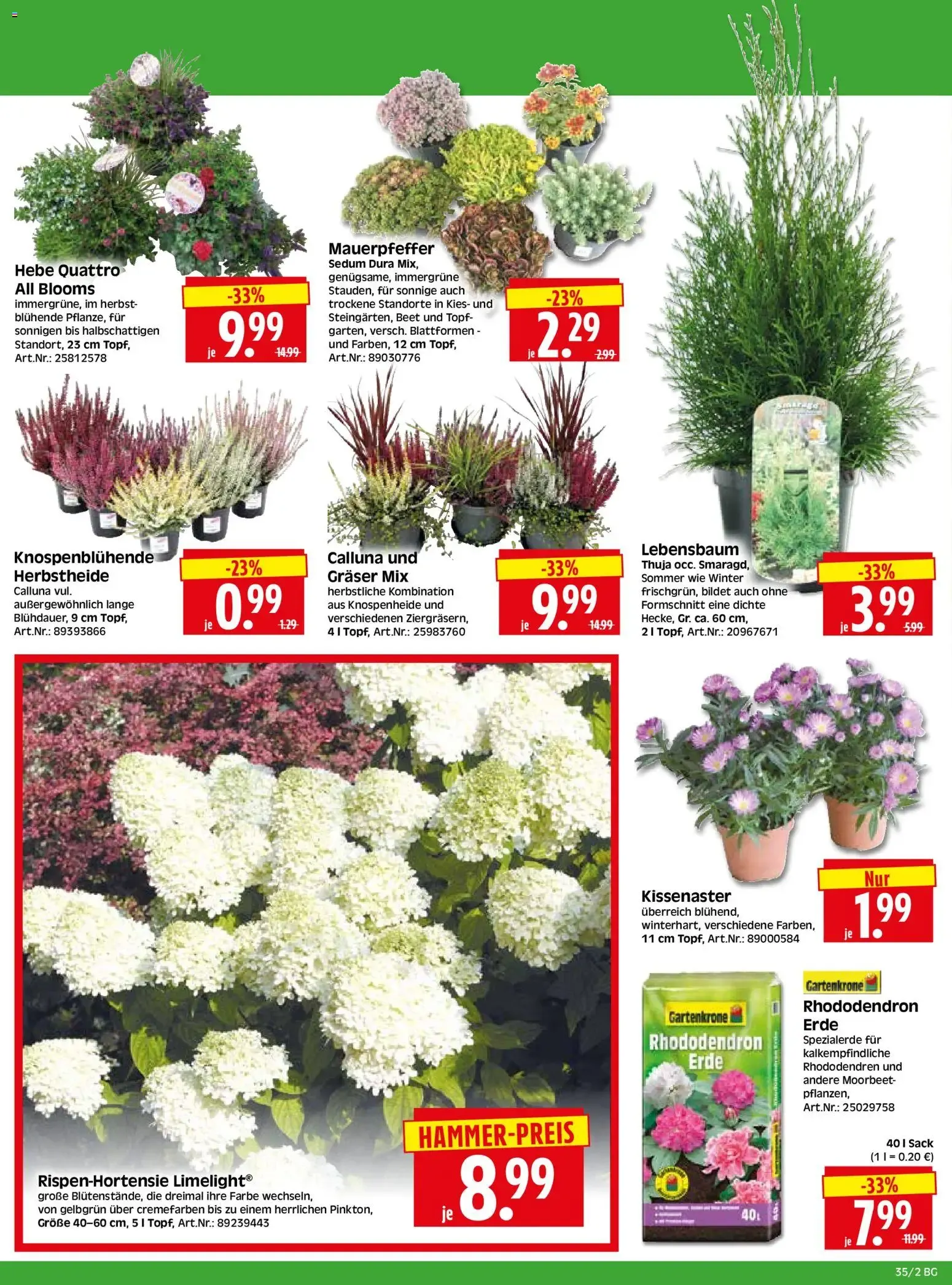 HERKULES Bau & Garten (ab 24.08.2026) zum Blättern von 24. August bis 29. August 2026 - Prospekt seite 2