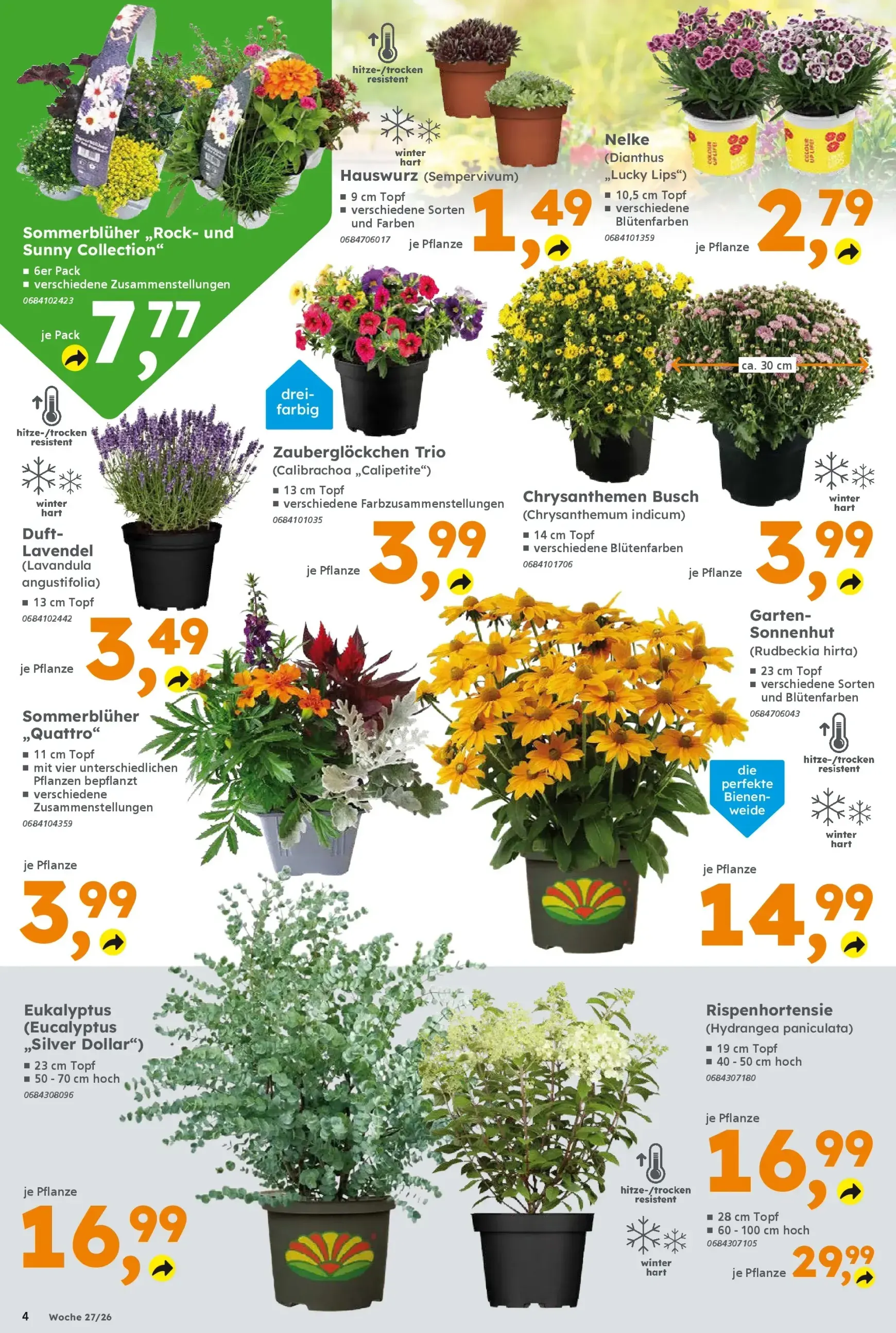Globus Baumarkt Prospekt – von Montag 29.06.2026 bis Samstag 04.07.2026 von 29. Juni bis 4. Juli 2026 - Prospekt seite 4