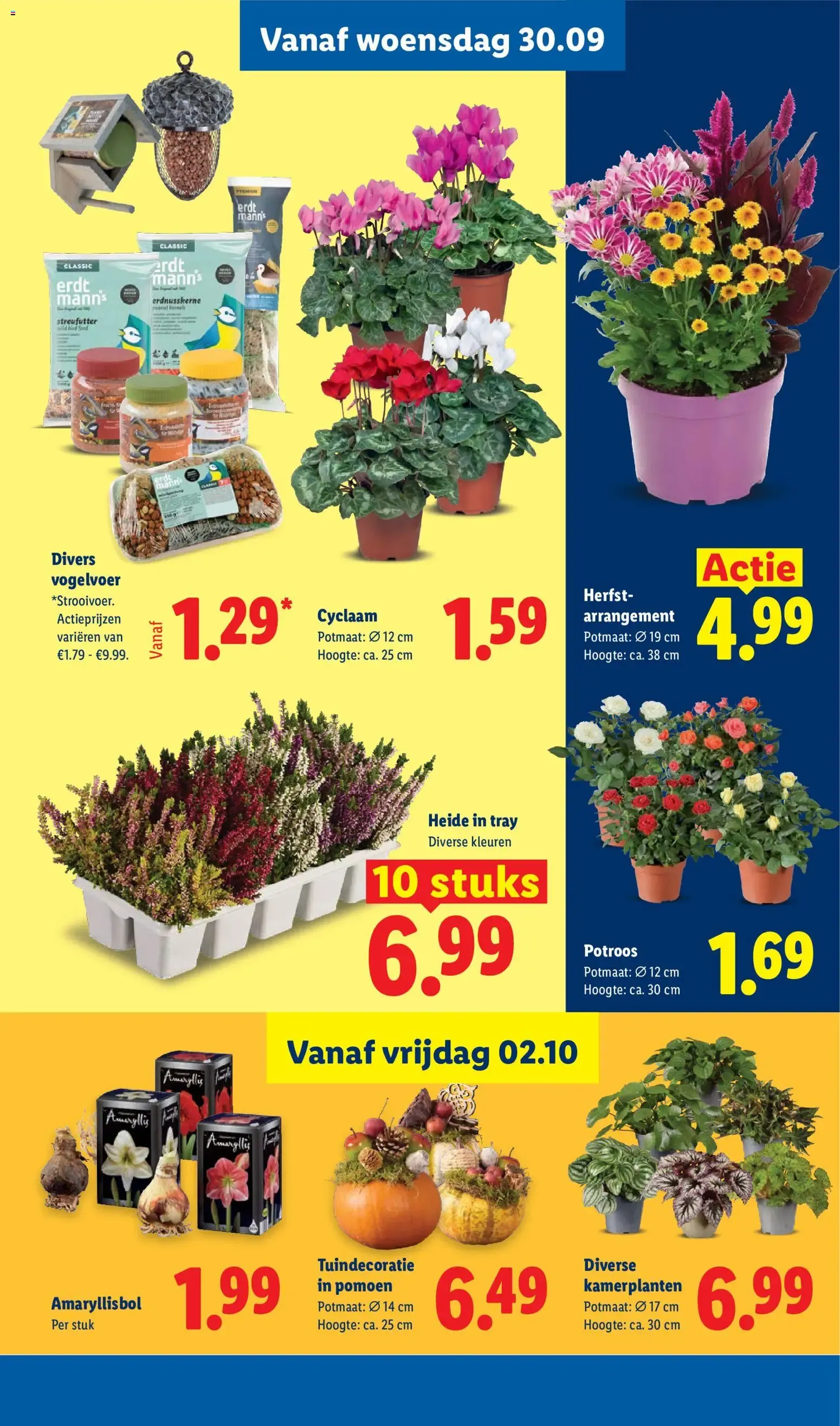 Lidl folder vanaf 28-09-2026 -- NIEUWE van 28 september tot 4 oktober 2026 - Folder pagina 22