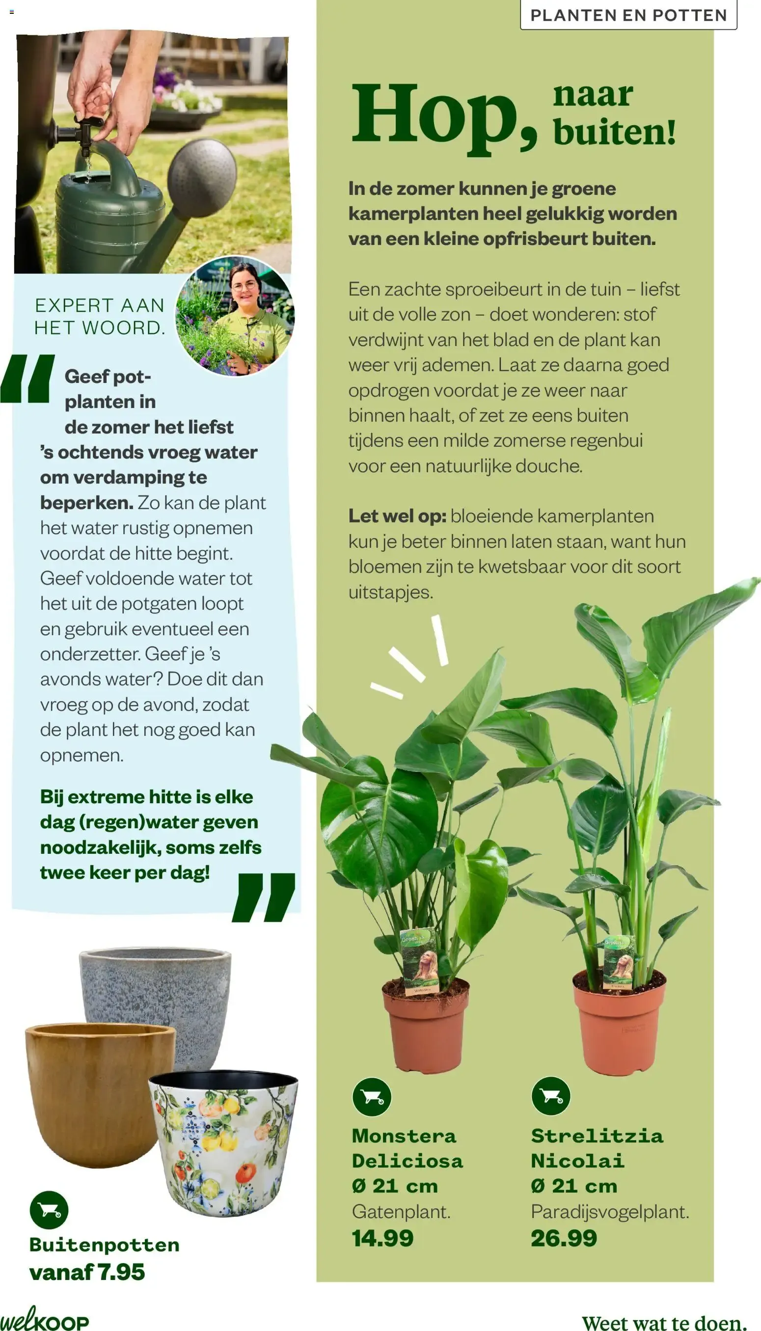 Welkoop Zomermagazine 2026 van 22 juni tot 23 augustus 2026 - Folder pagina 9