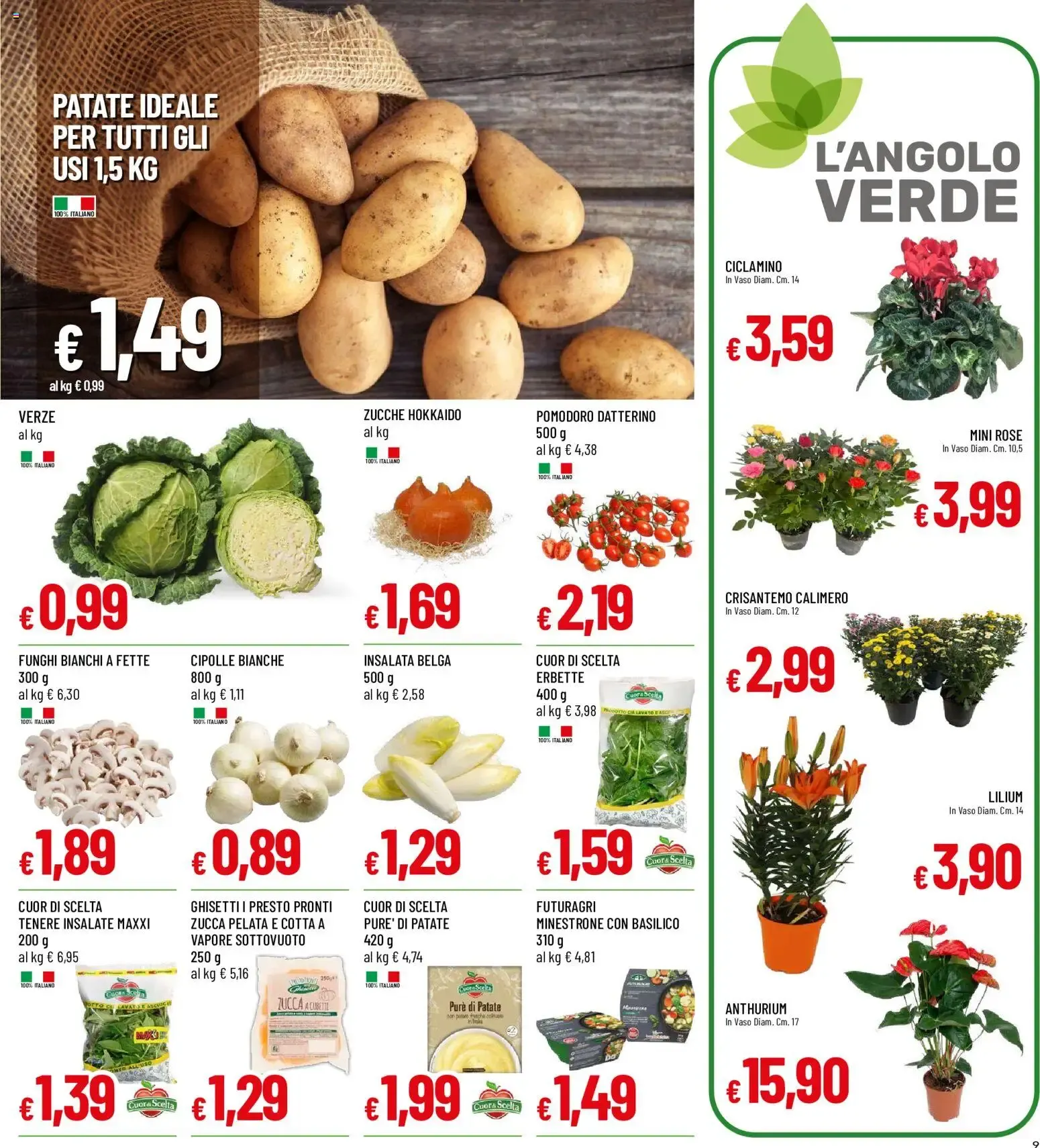 SOTTOCOSTO da 8 ottobre a 17 ottobre di 2026 - Pagina del volantino 9