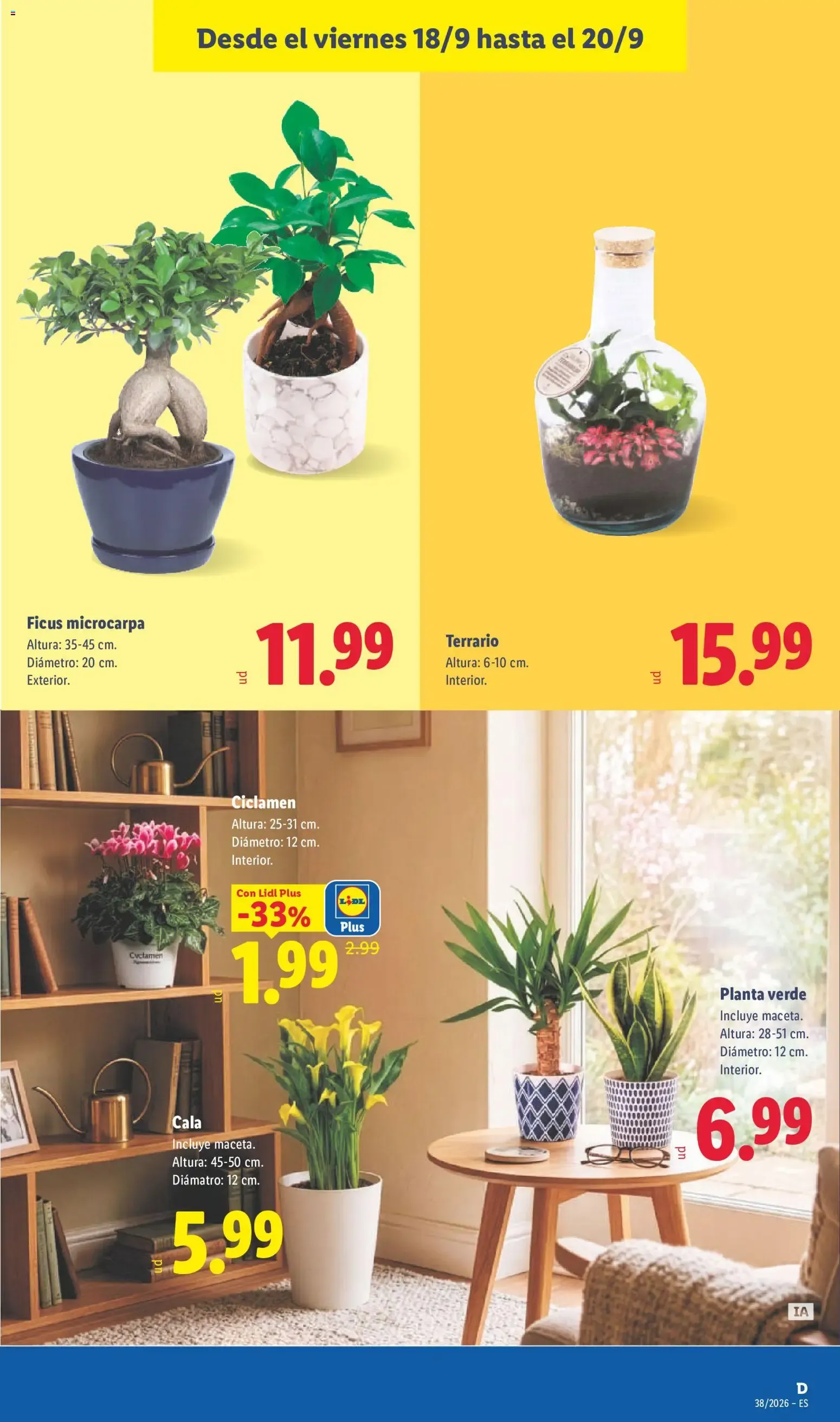 Catálogo de Lidl: Elige el N°1 en calidad-precio 14 de septiembre al 20 de septiembre 2026 - Página 49