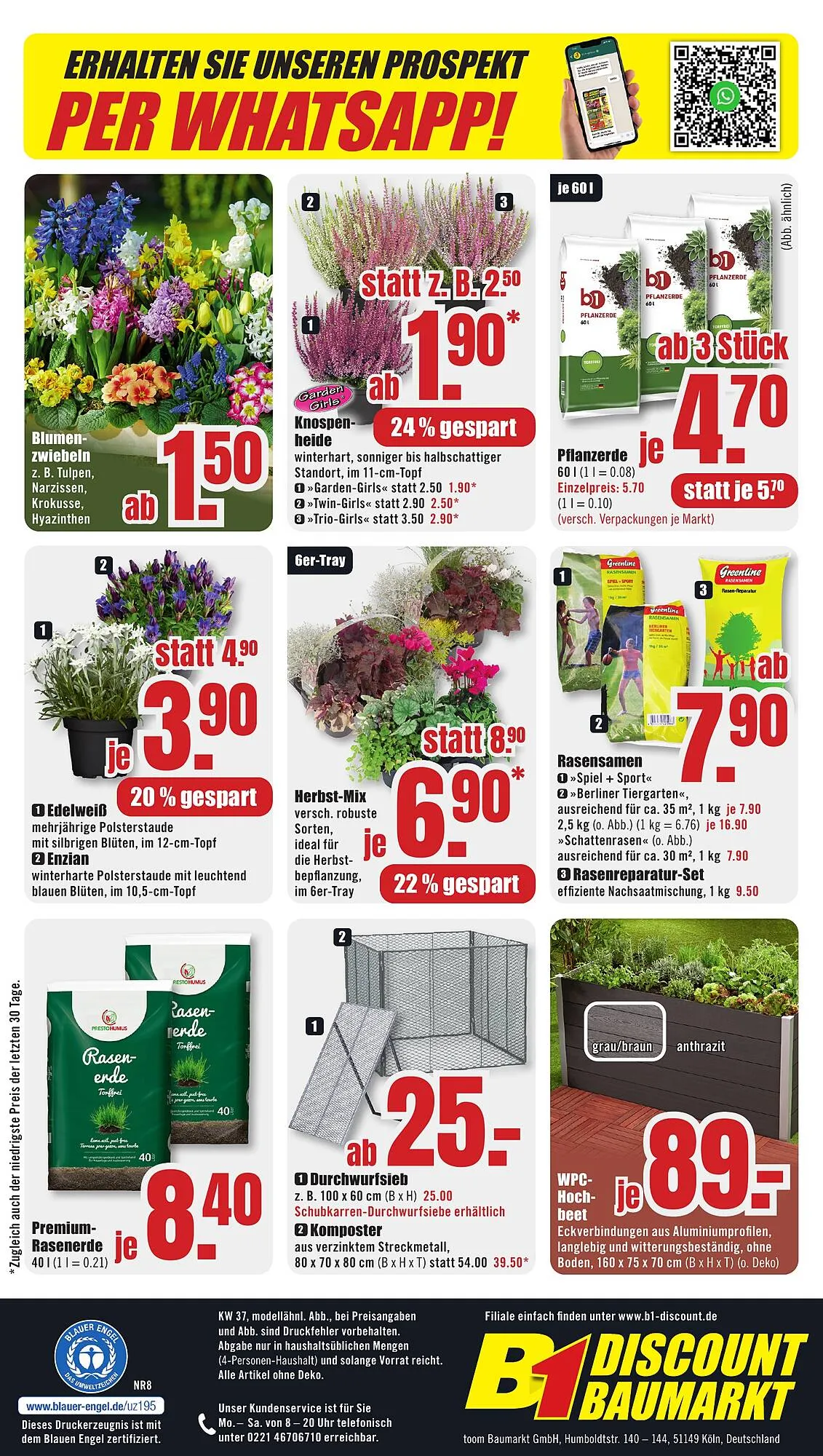 B1 Discount Baumarkt Prospekt woche 36 von 5. September bis 11. September 2026 - Prospekt seite 8