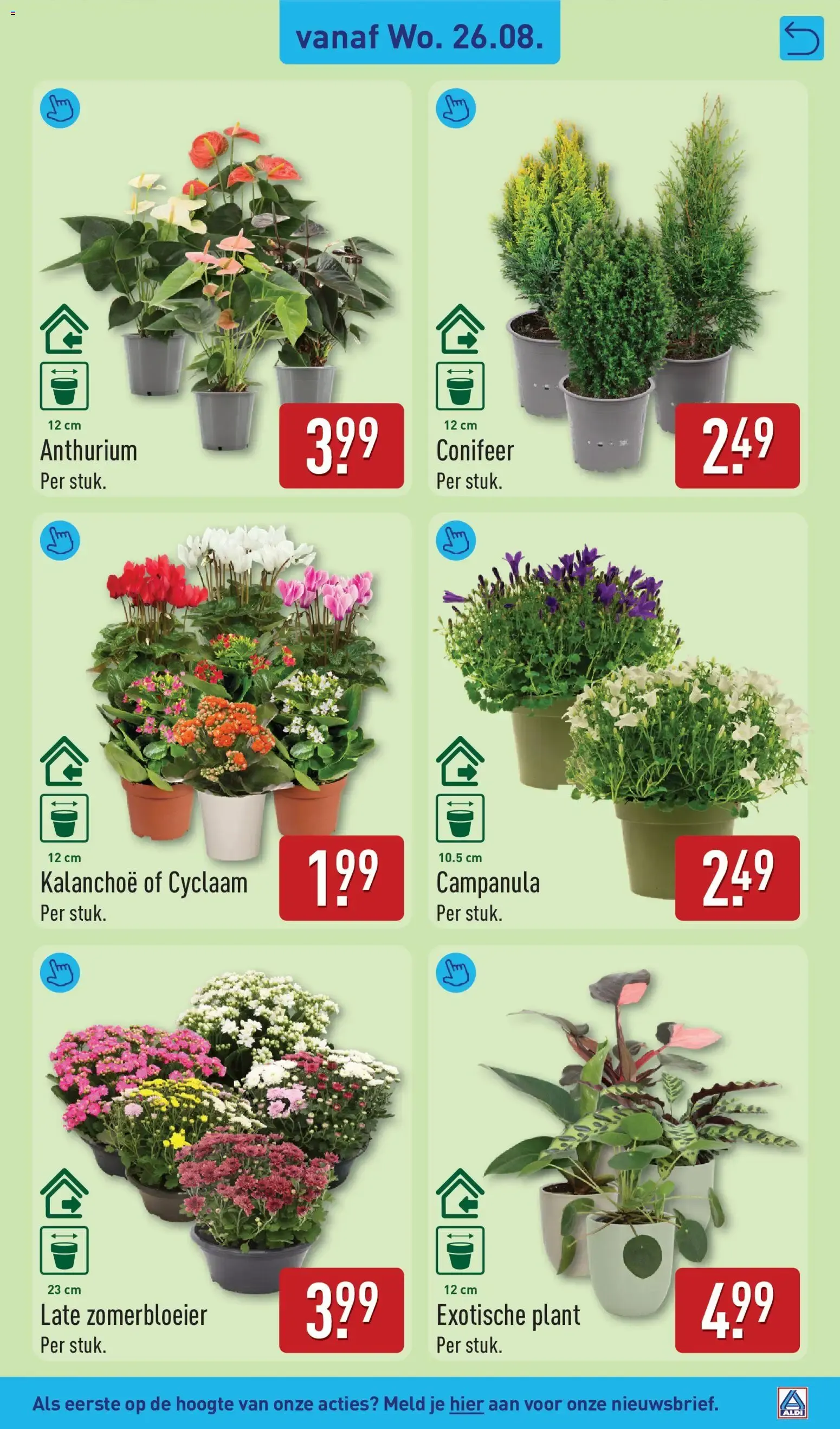 Aldi folder vanaf 24-08-2026 (volgende, deze week) van 24 augustus tot 30 augustus 2026 - Folder pagina 47