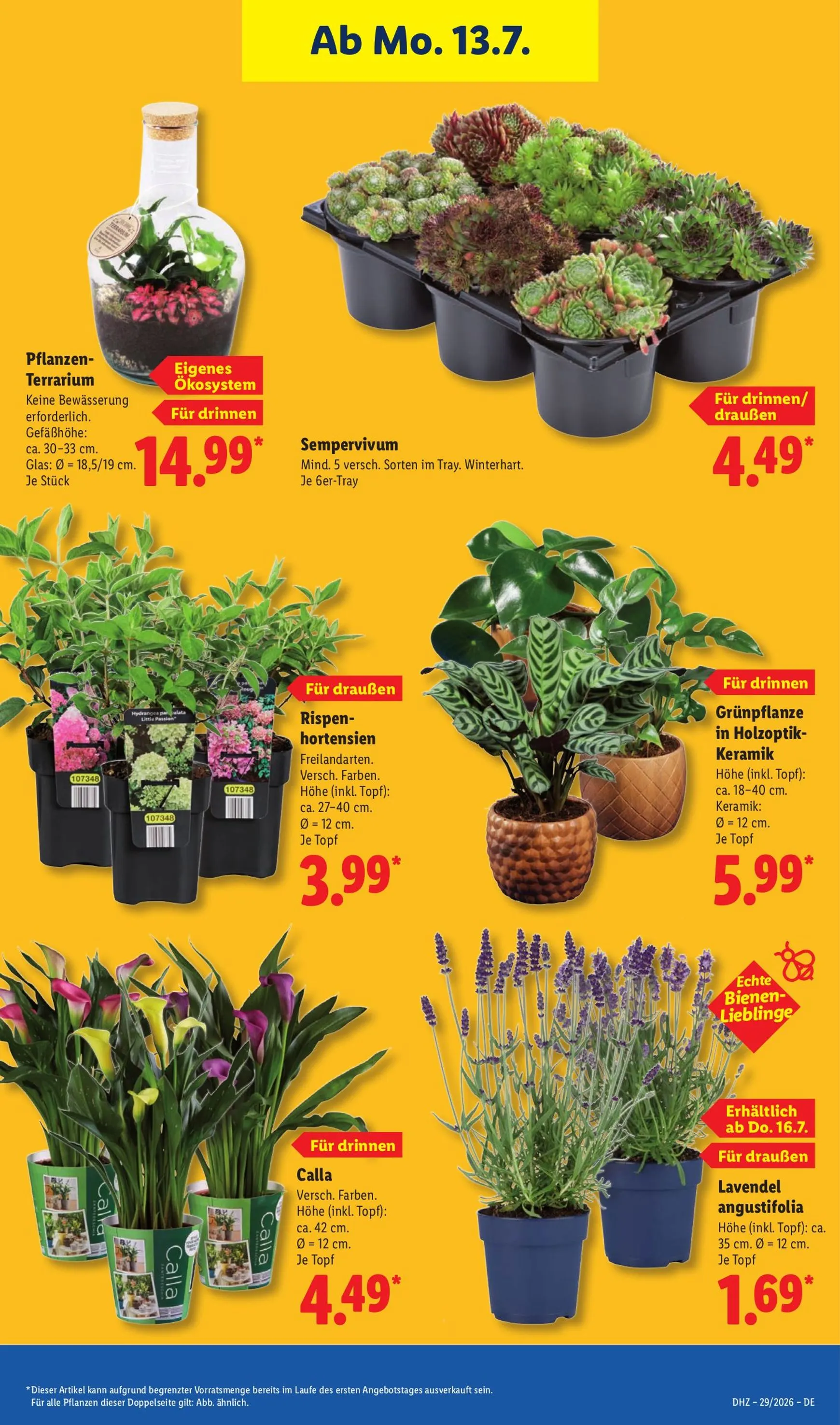 Lidl Prospekt nächste Woche – von Montag 13.07.2026 bis Samstag 18.07.2026 von 13. Juli bis 18. Juli 2026 - Prospekt seite 28