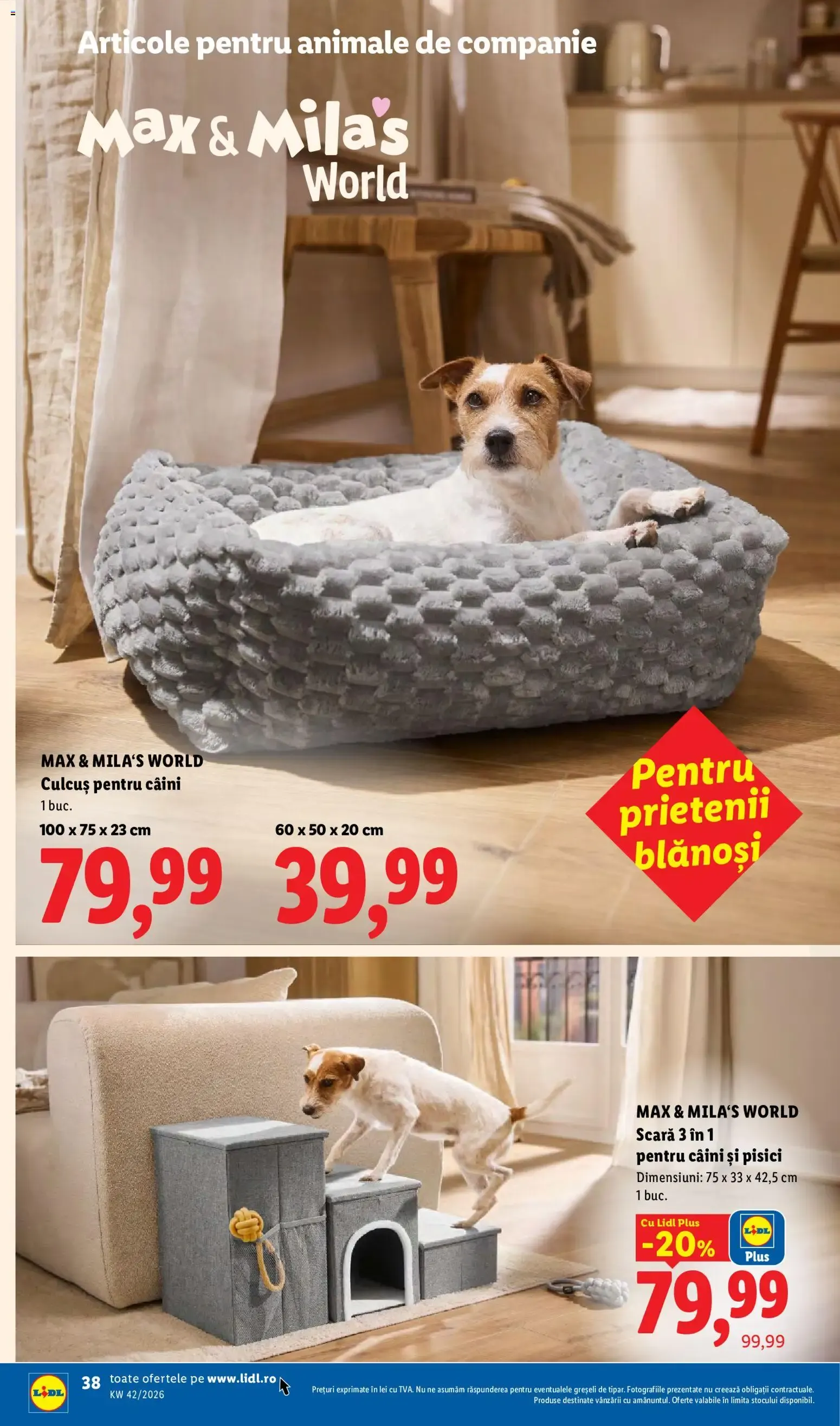 Catalog Catalog LIDL 12.10.2026 - Oferta și Revista online de la 12 octombrie până la 18 octombrie 2026 - Revista Pagina 38