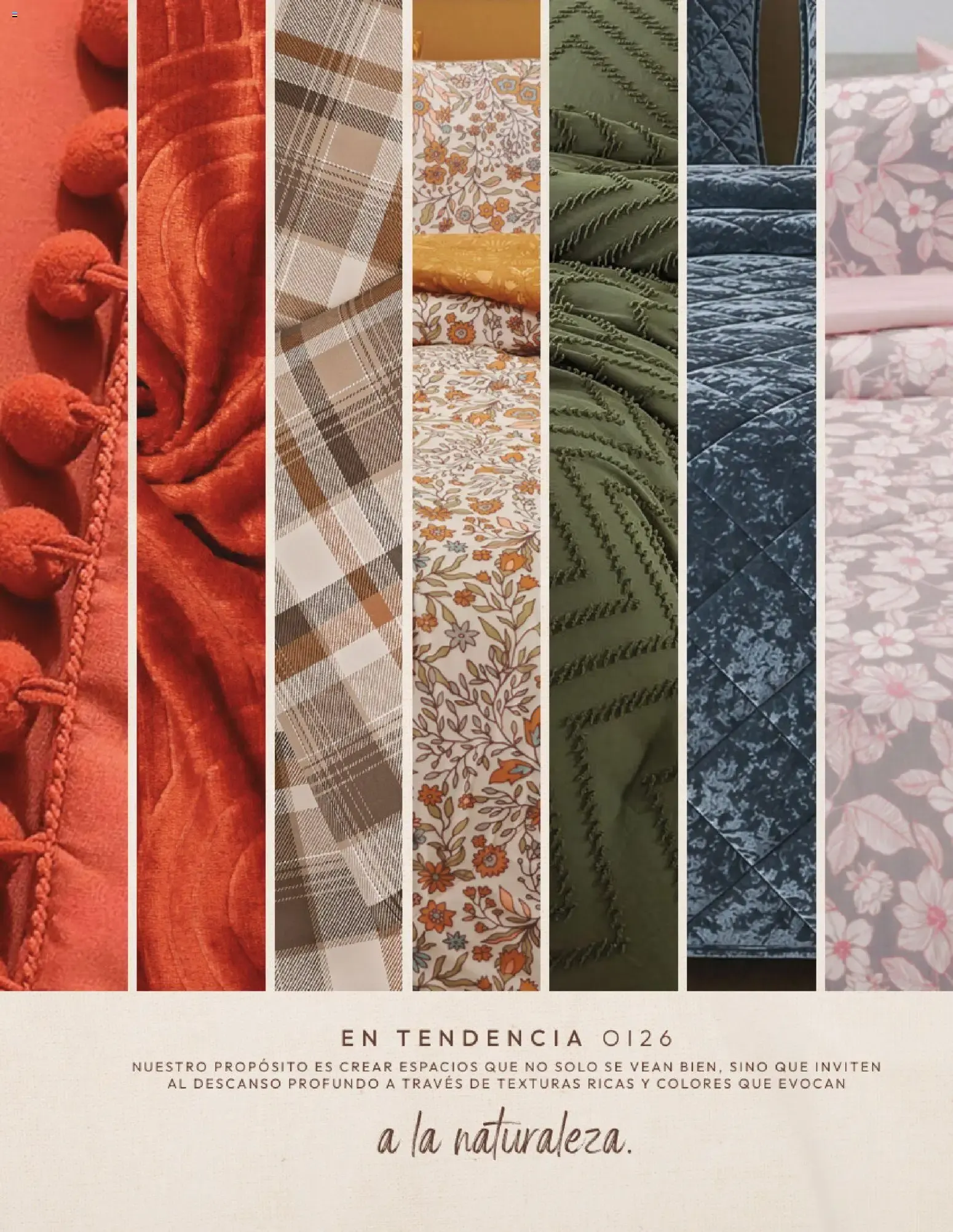 Catálogo de Andrea Home: Otoño - Invierno 2026 1 de septiembre al 31 de diciembre 2026 - Pagina 3