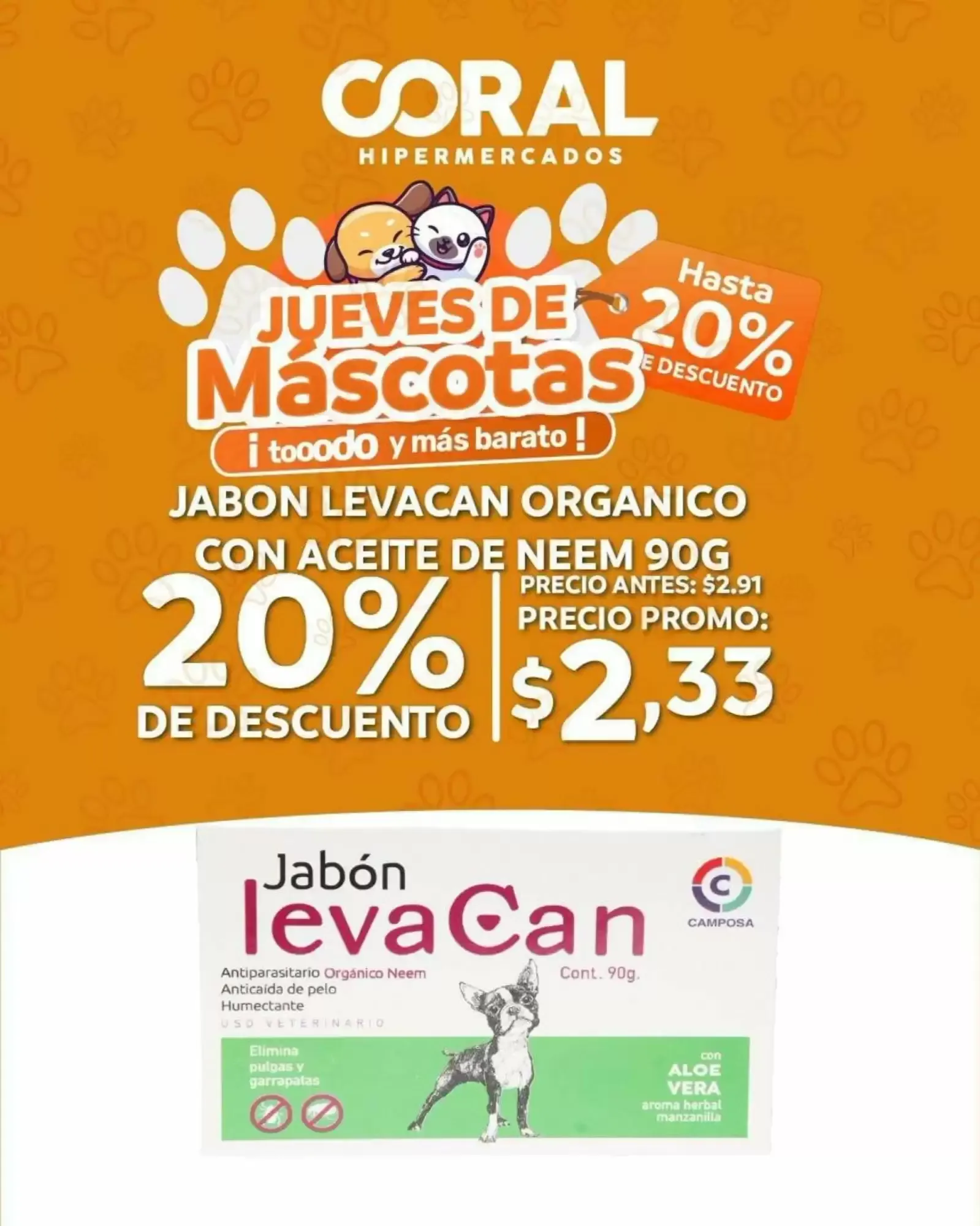 Catalogo de Regreso a Clases 4 de septiembre al 19 de septiembre 2026 - Pag 3