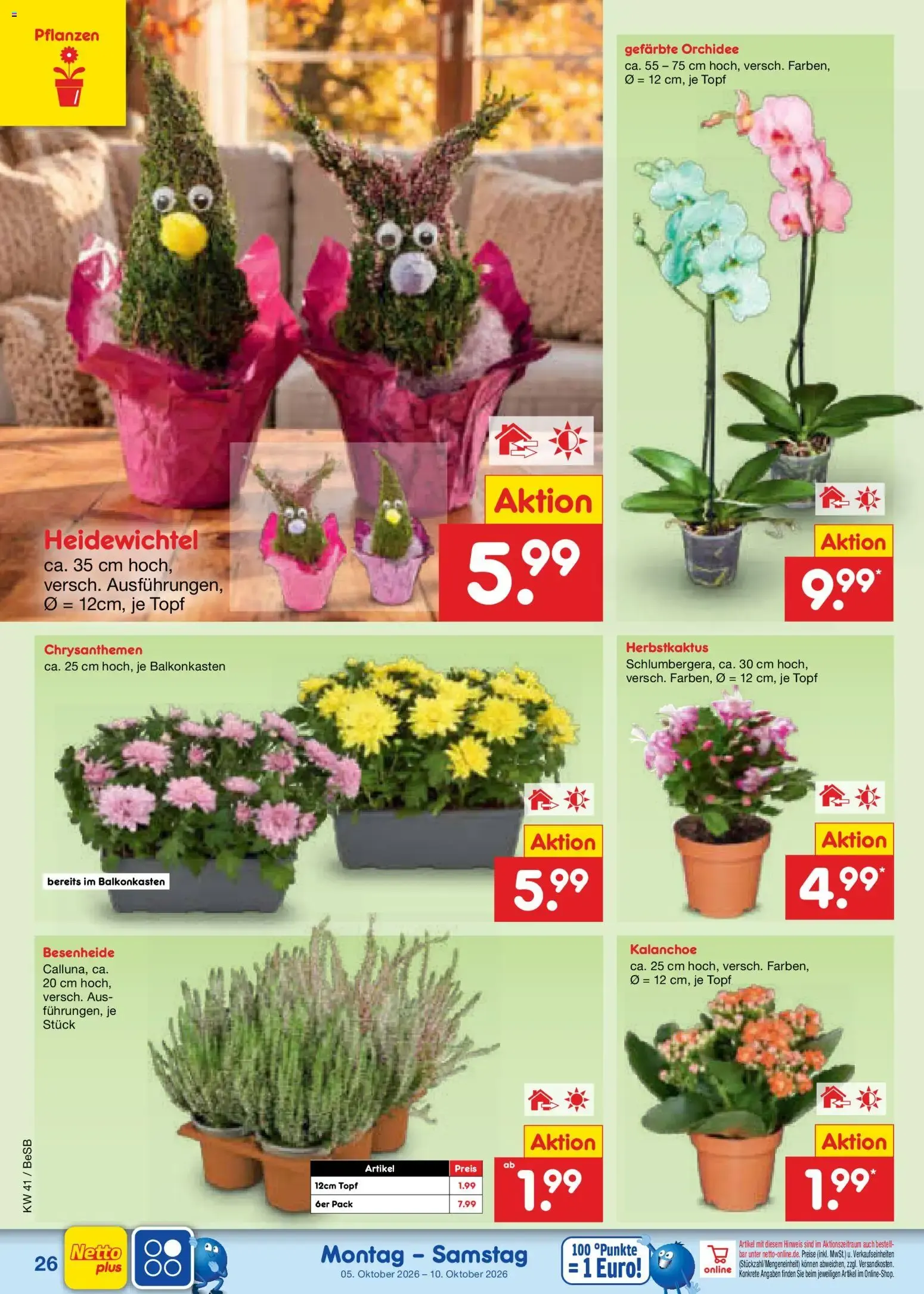 Netto Marken-Discount Prospekt (ab 05.10.2026) » Angebote von 5. Oktober bis 10. Oktober 2026 - Prospekt seite 30