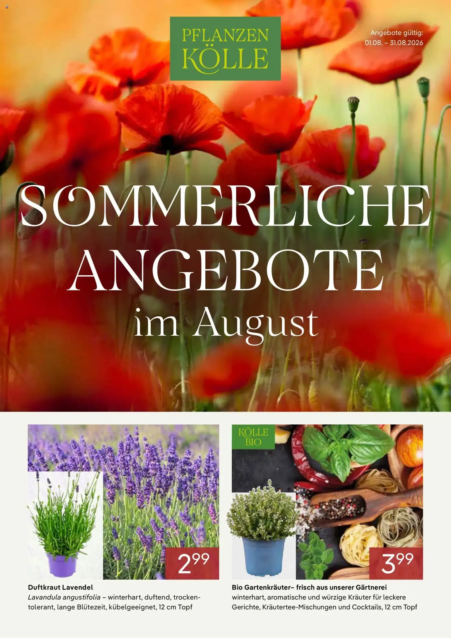 Pflanzen Kölle - Sommerliche Angebote im August