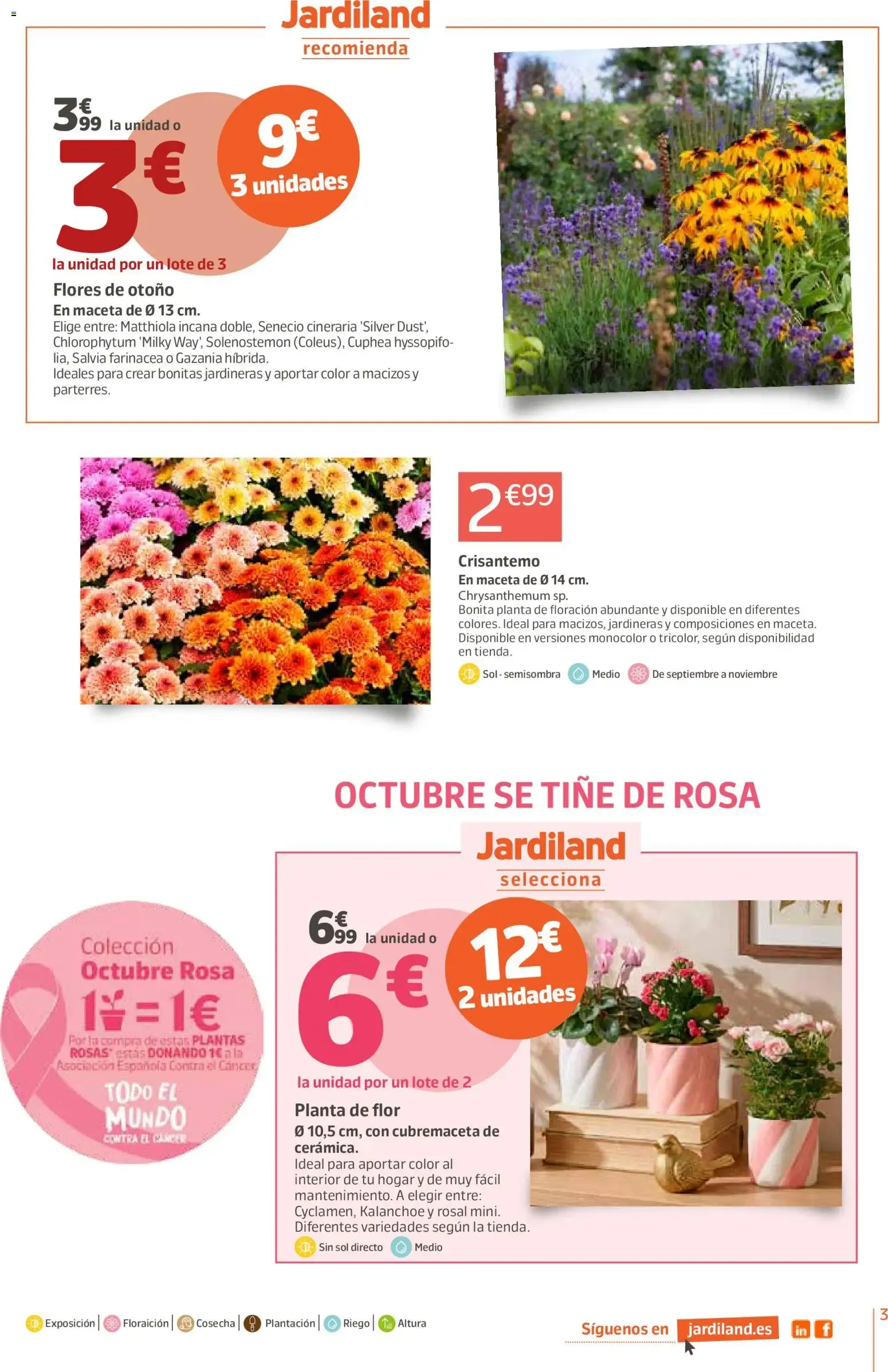Catálogo de Jardiland folleto 01/10/2026 - 12/10/2026 1 de octubre al 12 de octubre 2026 - Página 3