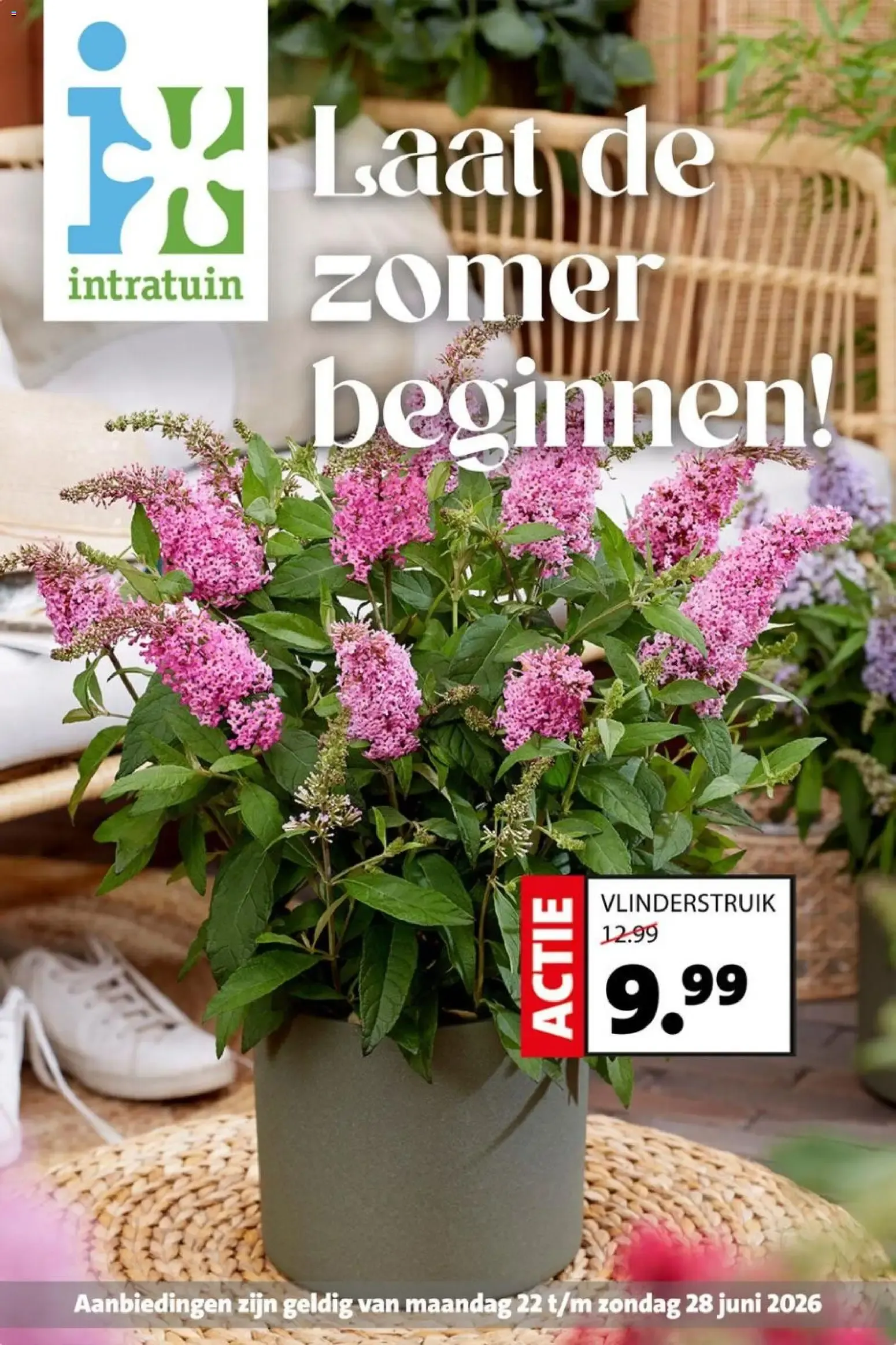 Intratuin: Laat de zomer beginnen!