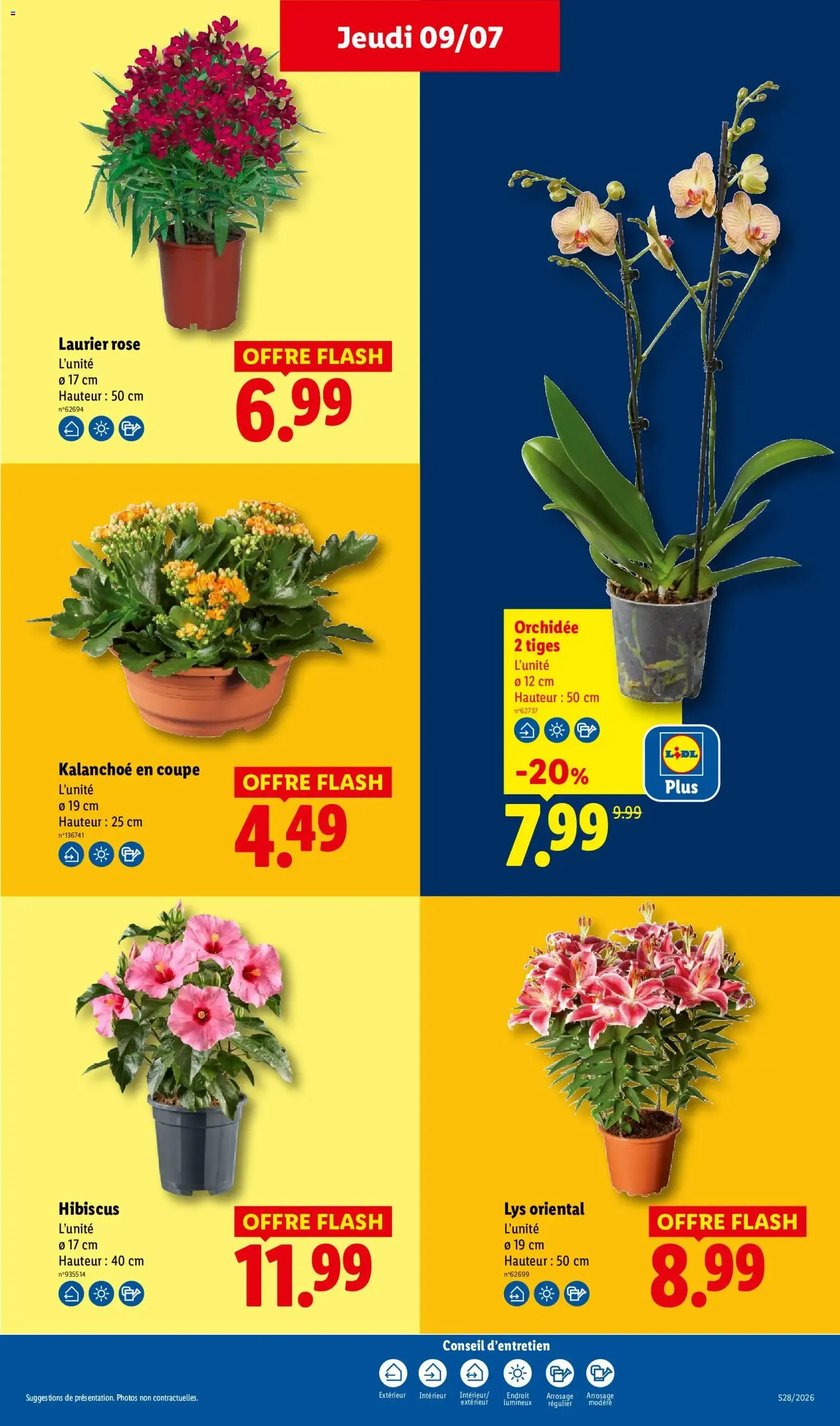 LIDL - Au cœur de nos régions! du 9 juillet au 15 juillet 2026 - Catalogue page 31