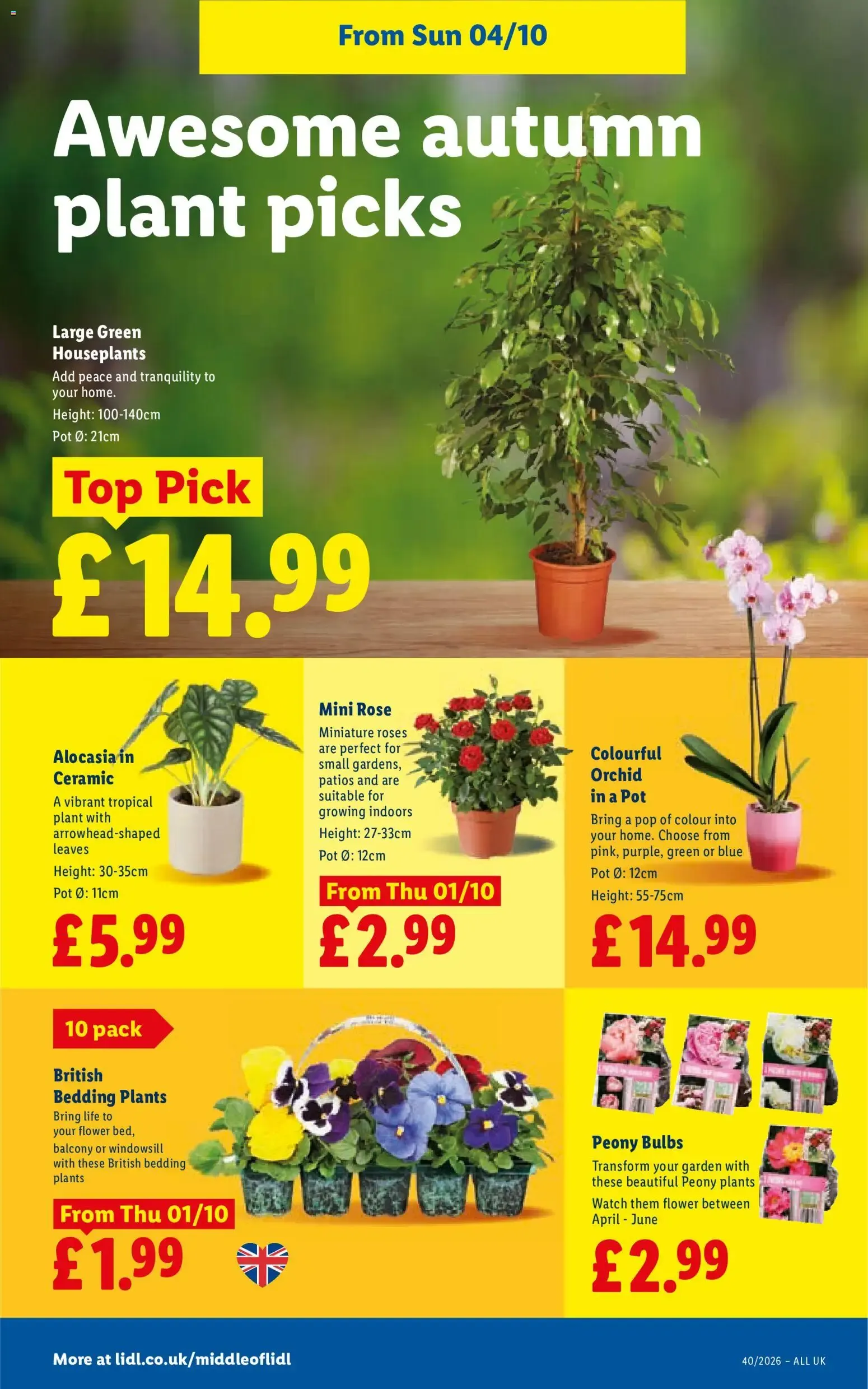 Weekly offers Lidl Wales (01/10/2026 - 07/10/2026) - Offers Online from 1 October to 7 October 2026 - Catalogue Page 32