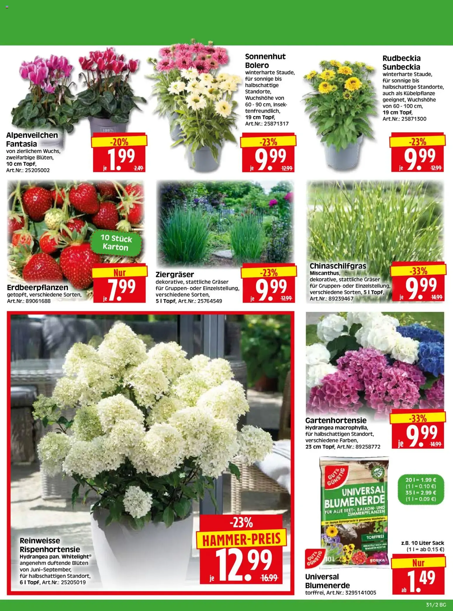 HERKULES Bau & Garten (ab 27.07.2026) zum Blättern von 27. Juli bis 1. August 2026 - Prospekt seite 2