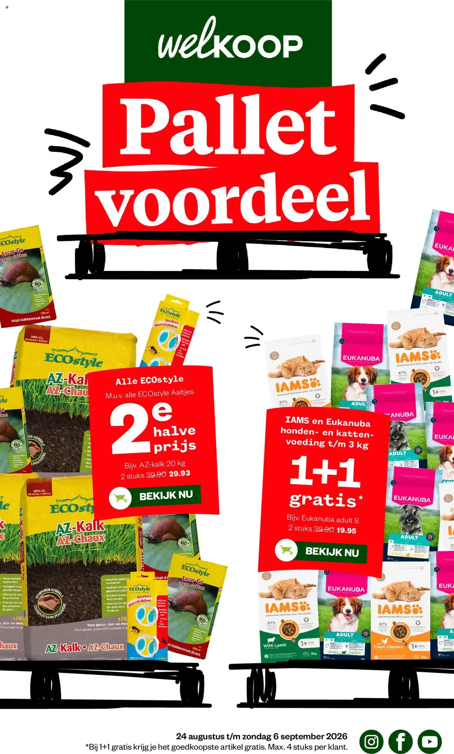 Welkoop Pallet voordeel van 24 augustus tot 6 september 2026 - Folder pagina 1