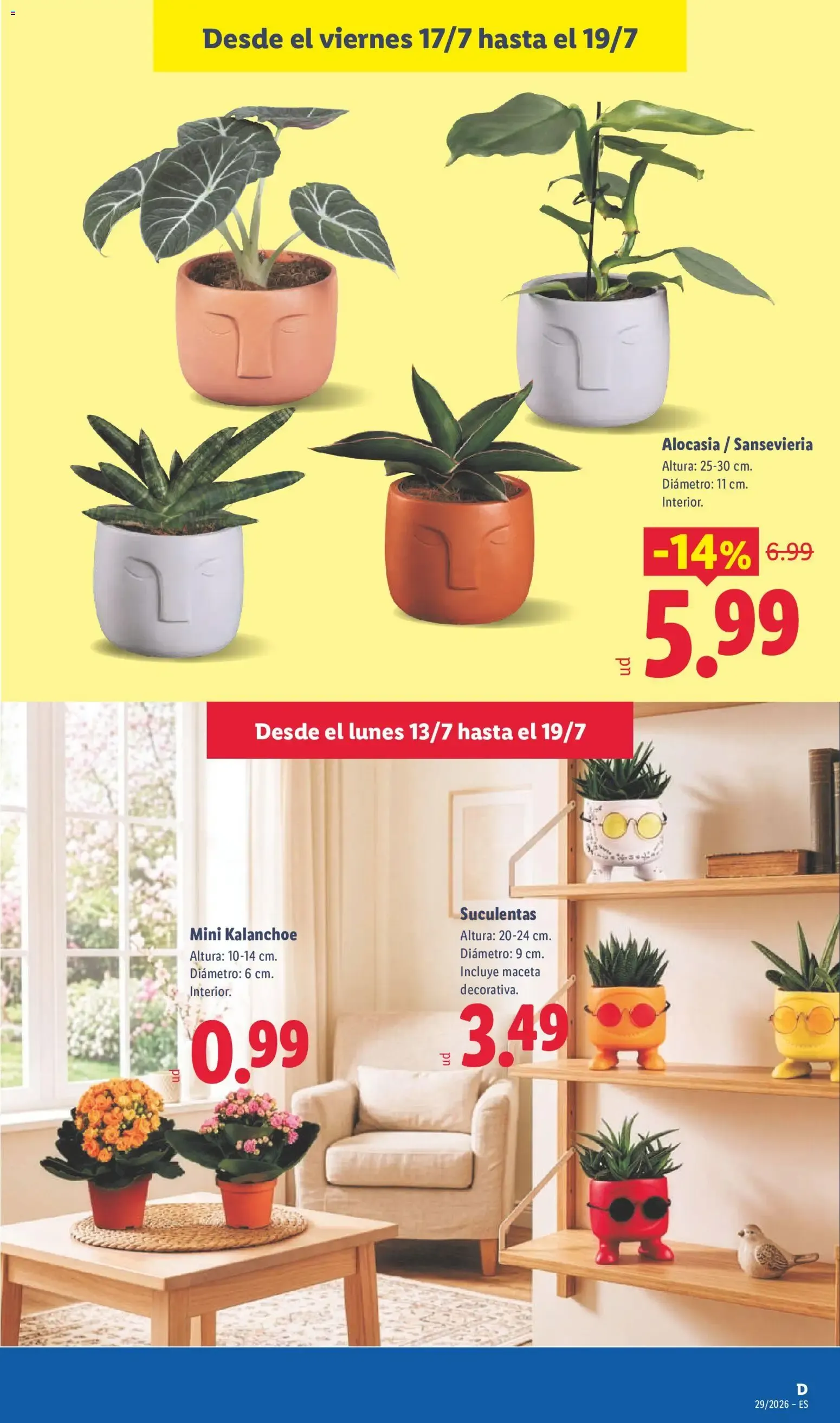 Catálogo de Lidl folleto del 13/07/2026 | Ofertas 13 de julio al 19 de julio 2026 - Página 59