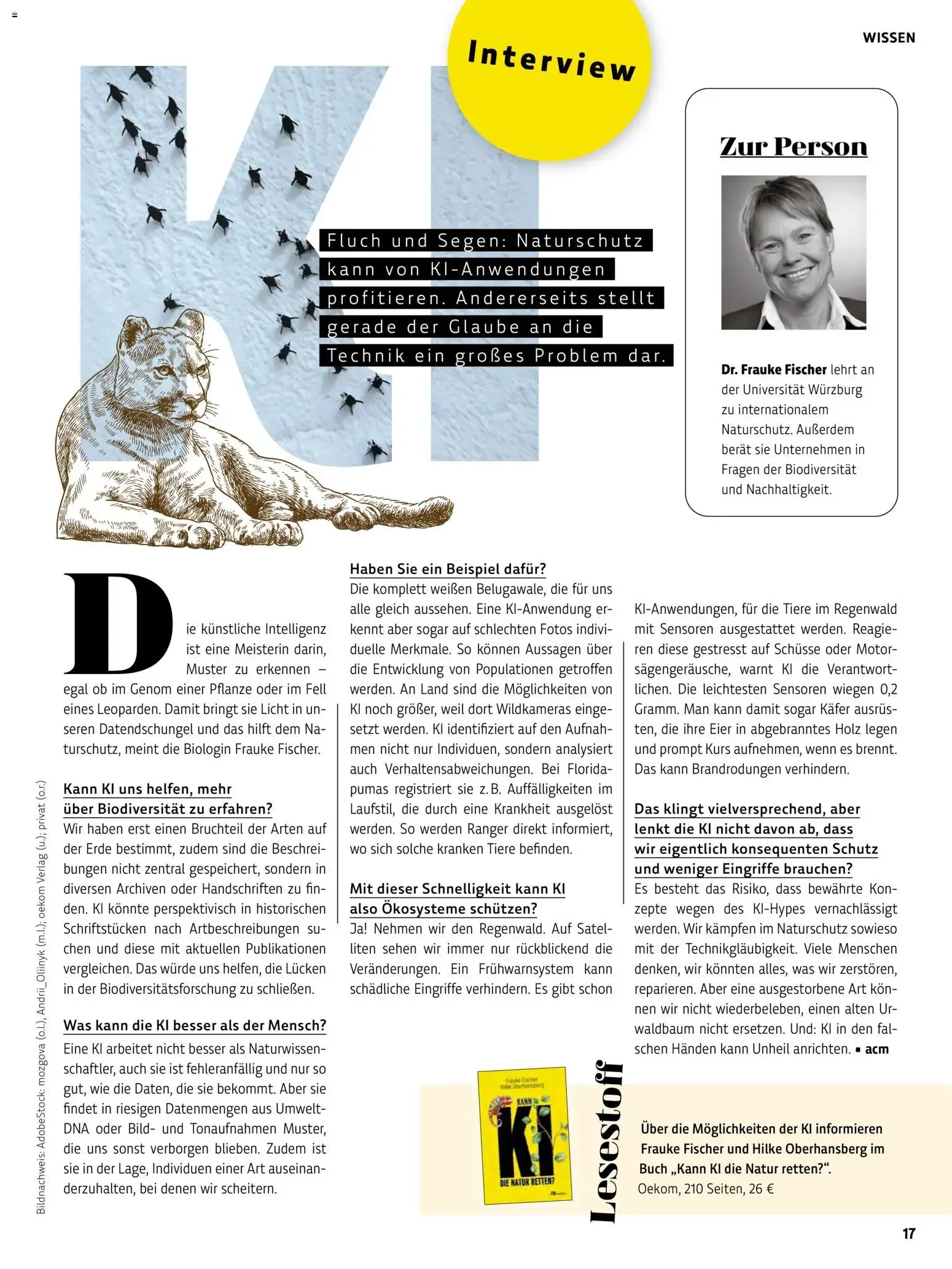 Das BioMarkt Magazin KREO von 17. Juli bis 30. September 2026 - Prospekt seite 17