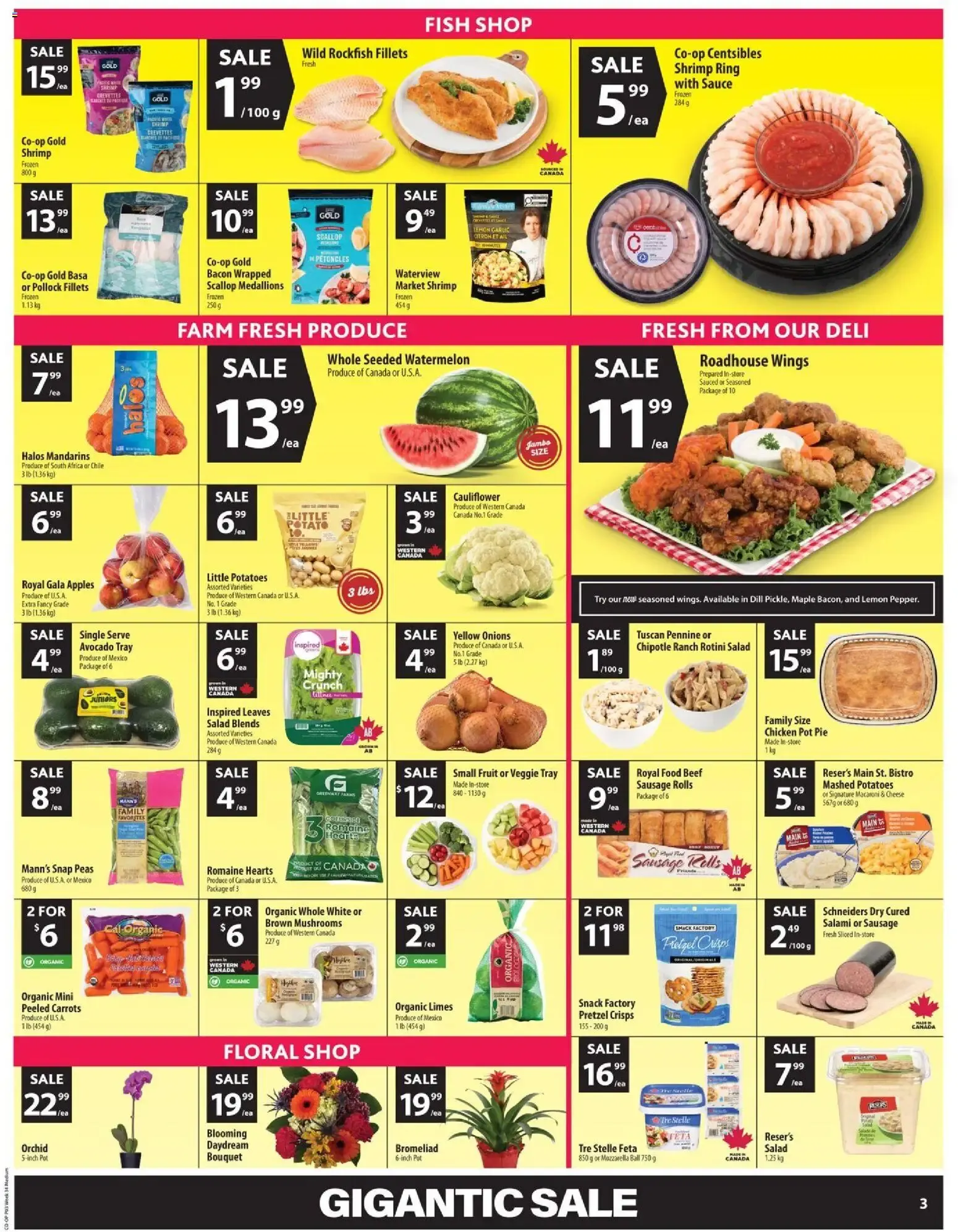 GIGANTIC SALE from August 20 to August 26 2026 - flyer page 6