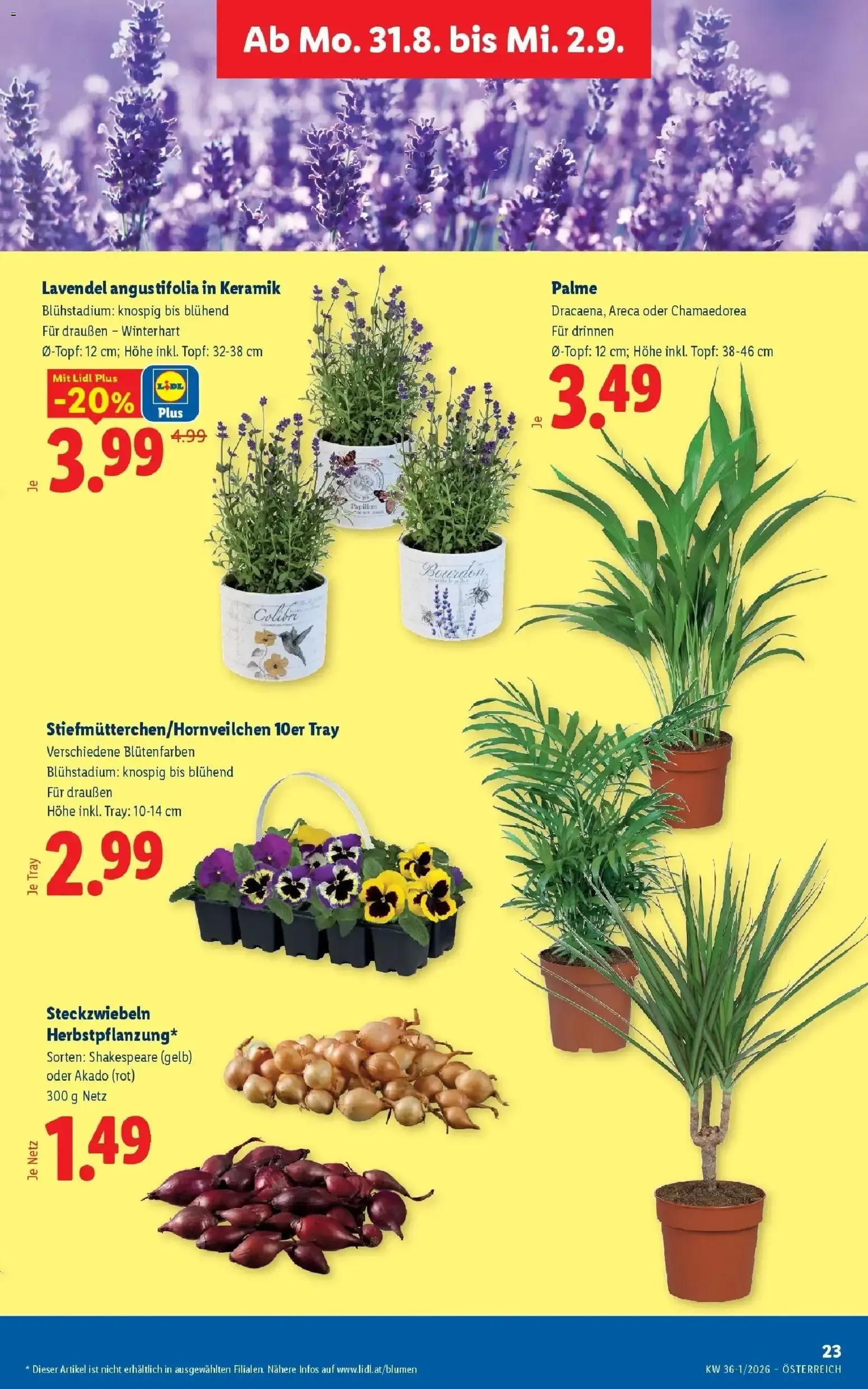 Lidl XXL Angebote von 27. August bis 29. August 2026 - Flugblätt seite  30