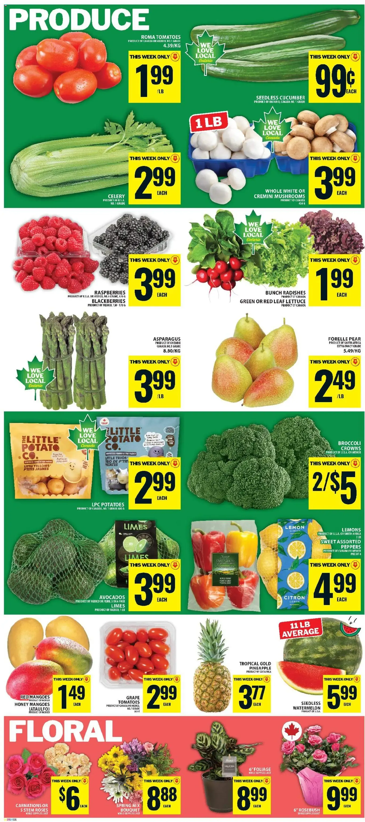 Food Basics Crazy 8 Sale Flyer from June 18 to June 24 2026 - flyer page 6