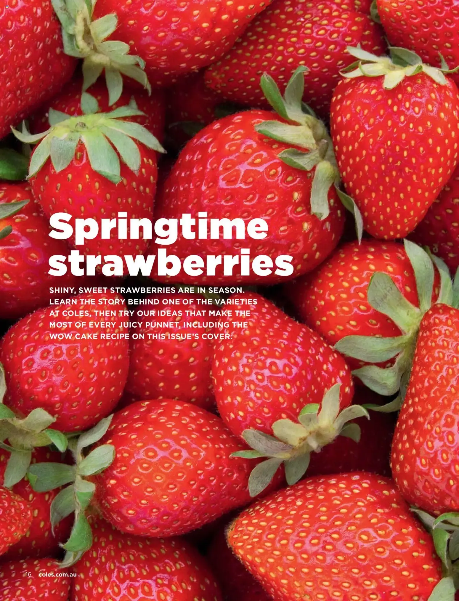 Coles catalogue valid from 01/09/2026 > Online Australia - Catalogue valid from 1 September to 30 September 2026 - page 16
