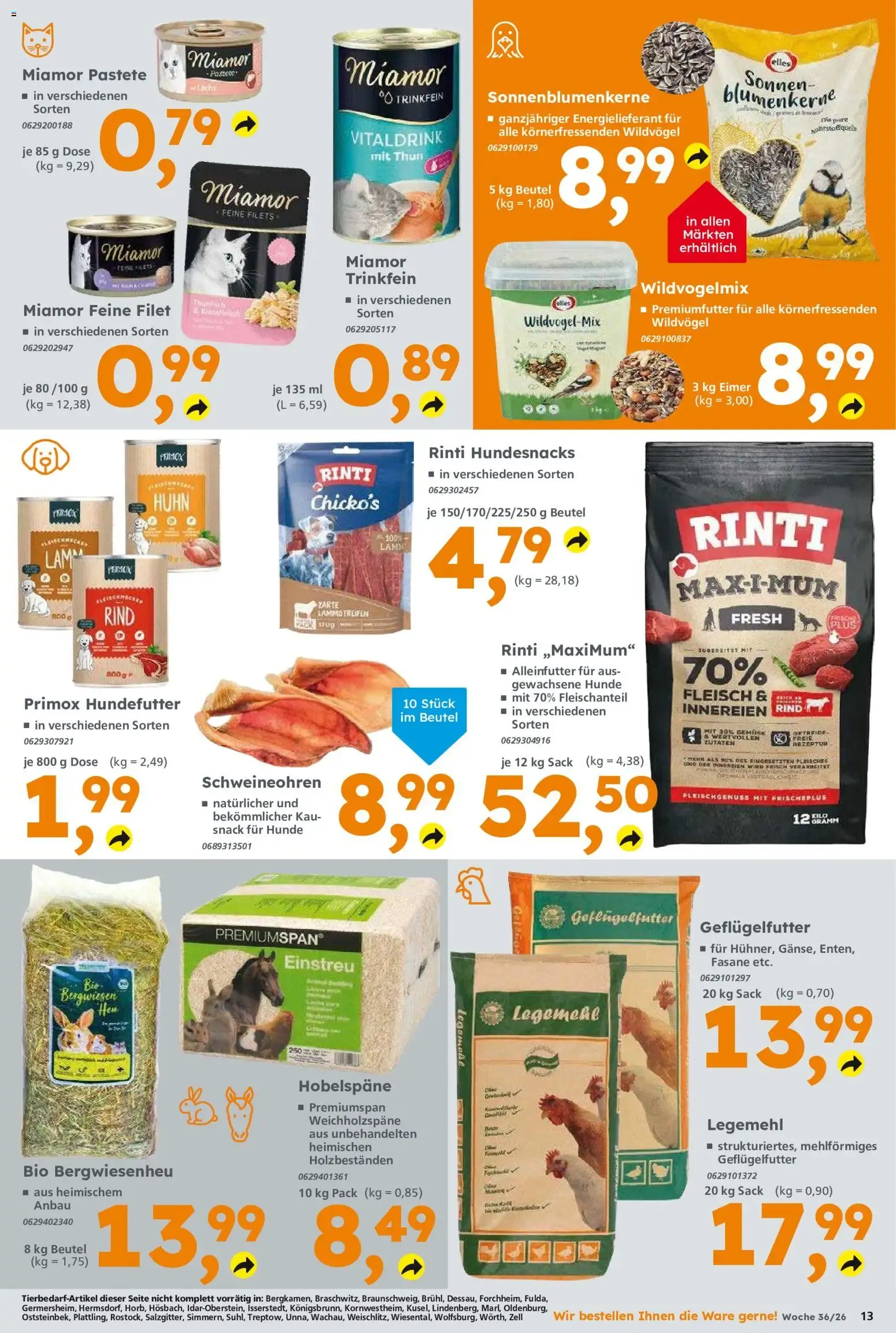 Globus Baumarkt - Aktionswoche 36/26 von 31. August bis 5. September 2026 - Prospekt seite 13