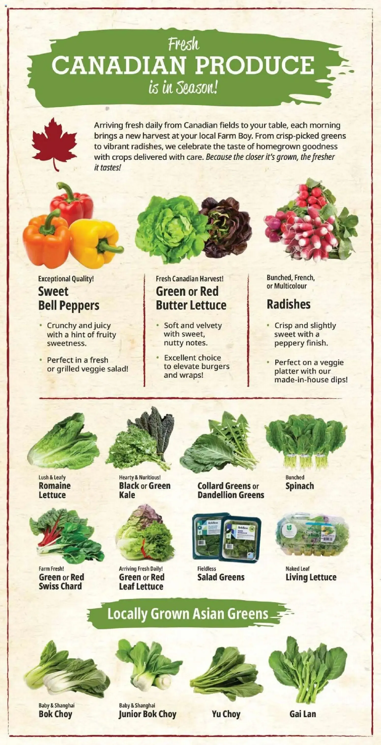 Farm Boy weekly flyer / circulaire from Jun 18, 2026 > weekly specials & deals from June 18 to June 24 2026 - flyer page 9