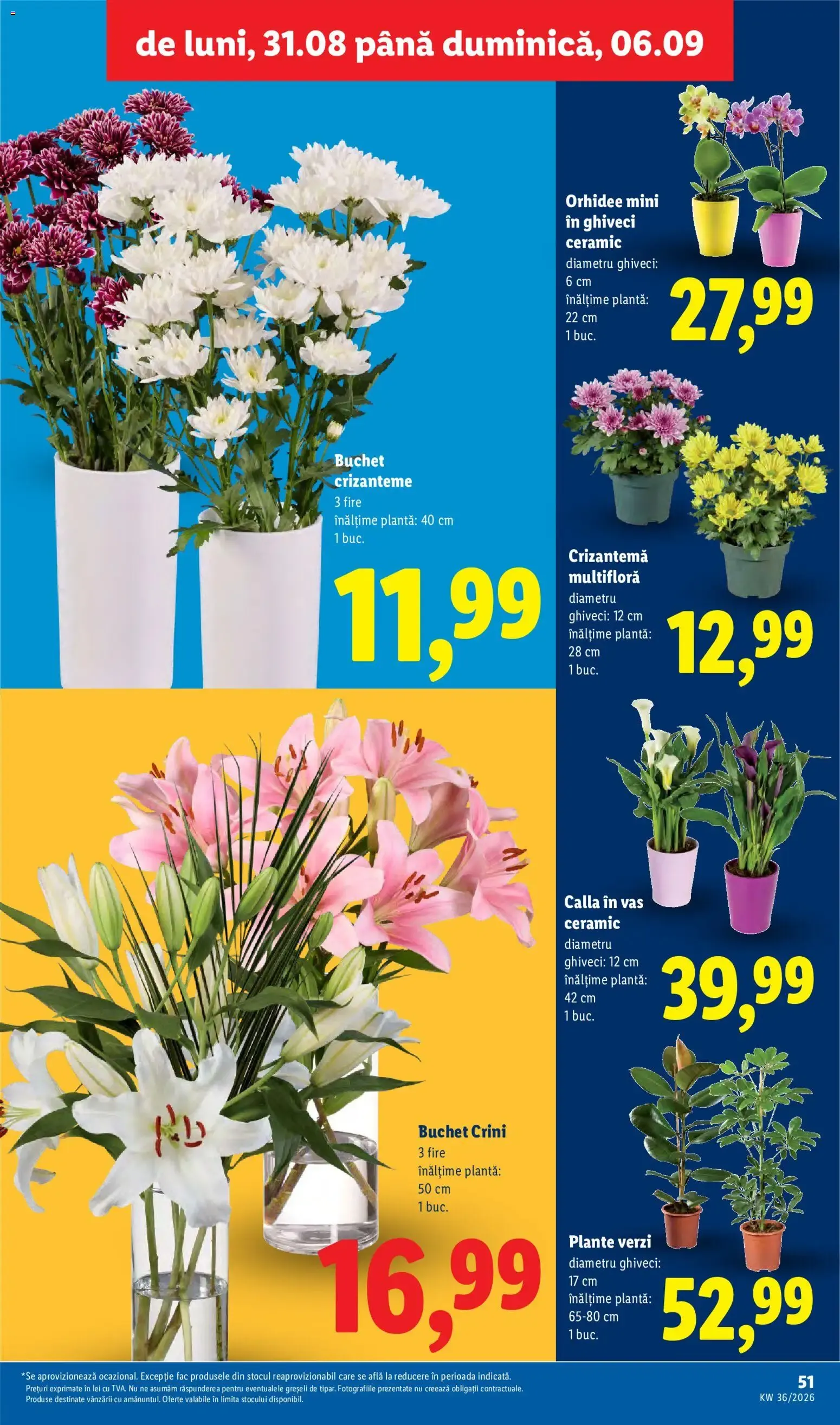 Catalog Catalog LIDL 31.08.2026 - Oferta și Revista online de la 31 august până la 6 septembrie 2026 - Revista Pagina 51