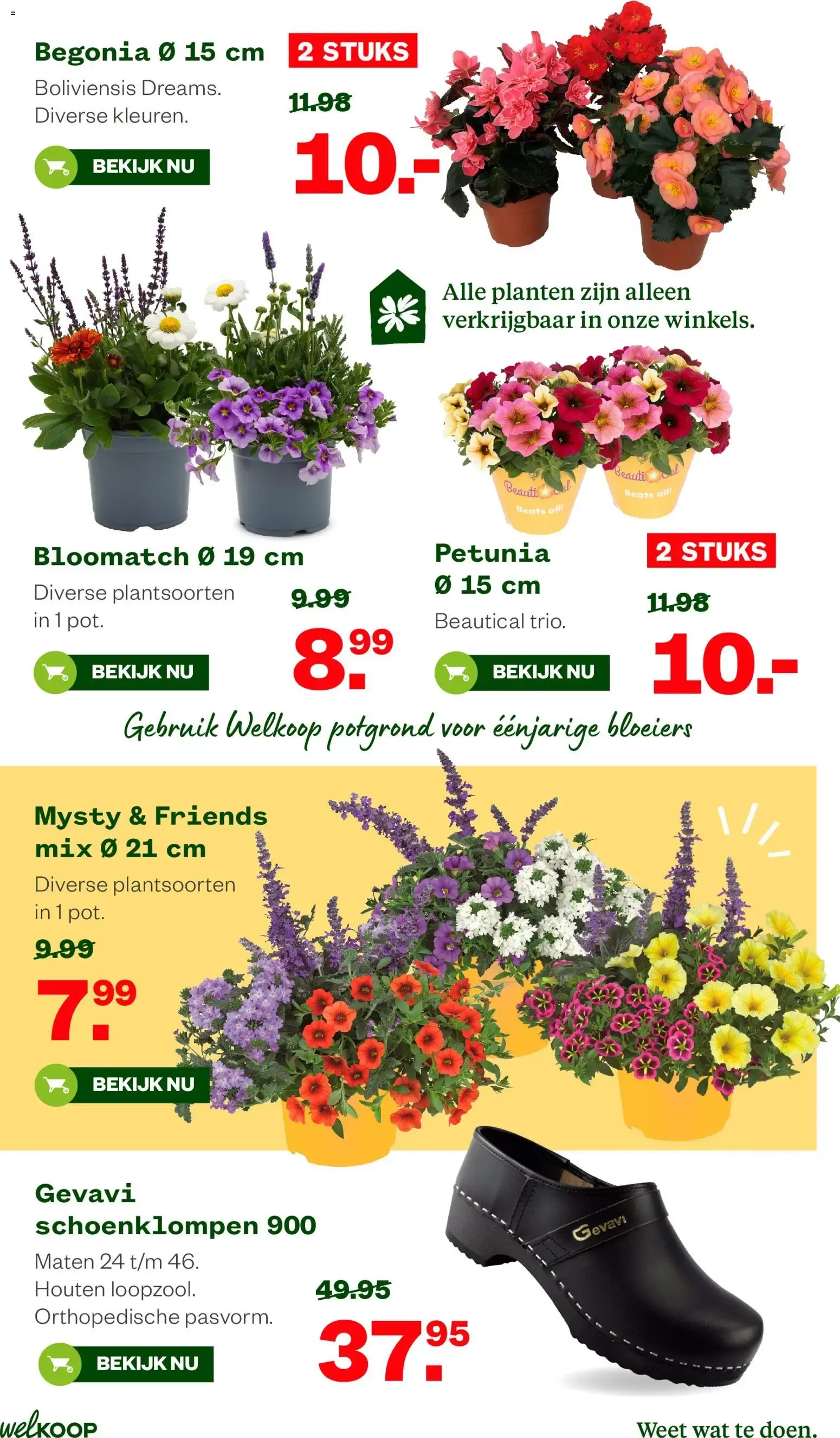Welkoop Zomer deals van 22 juni tot 5 juli 2026 - Folder pagina 15