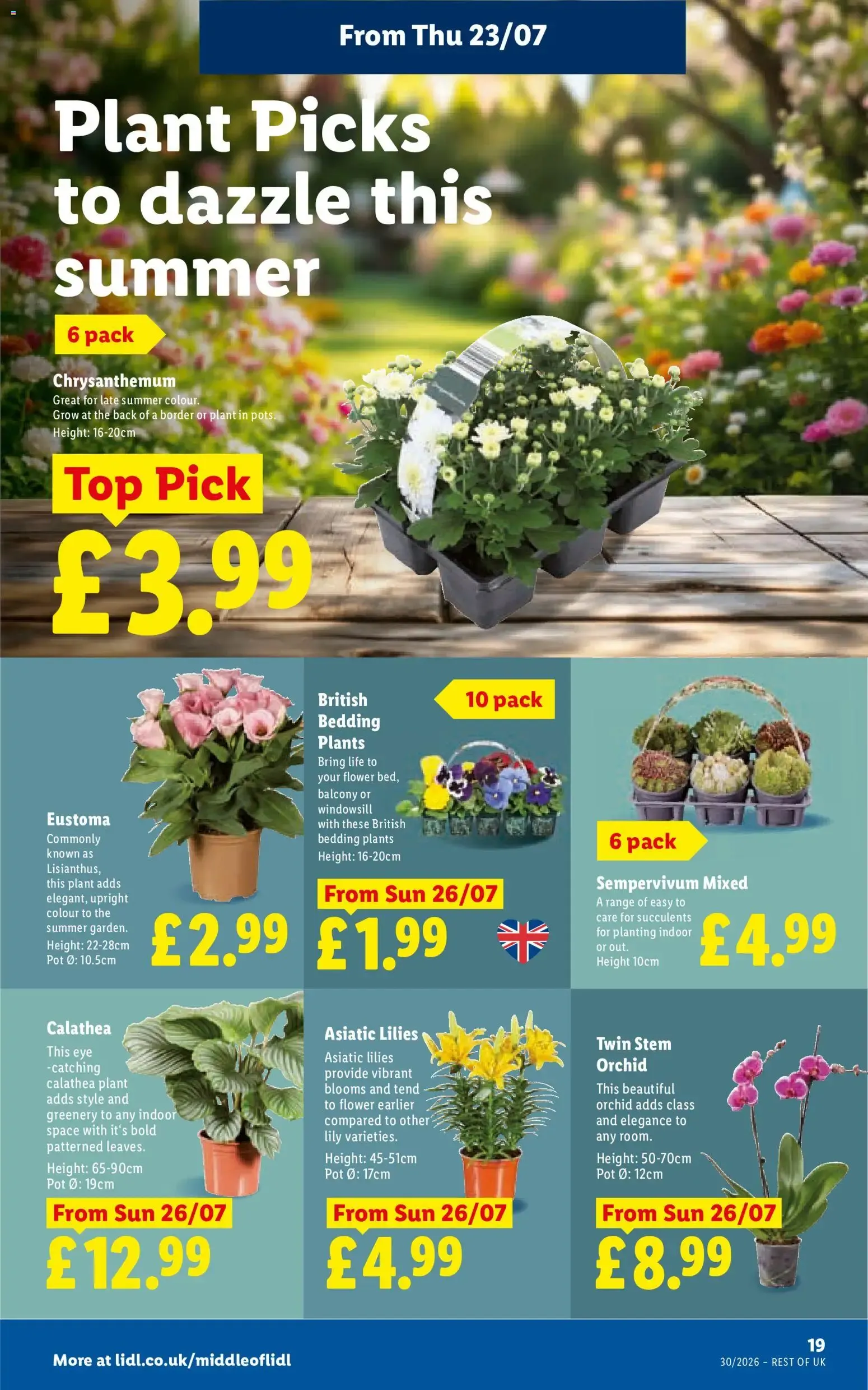 Weekly offers Lidl (23/07/2026 - 29/07/2026) - Offers Online from 23 July to 29 July 2026 - Catalogue Page 21