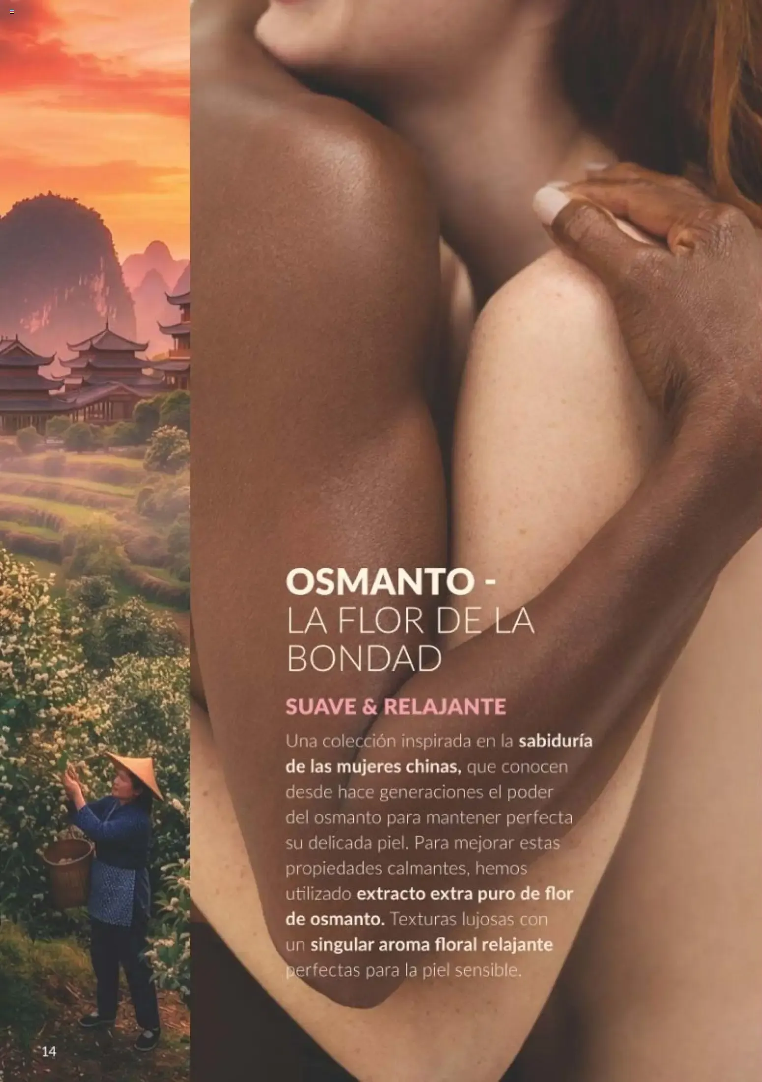 Catálogo de Catálogo AVON campaña 10 del 01/10/2026 1 de octubre al 31 de octubre 2026 - Página 14