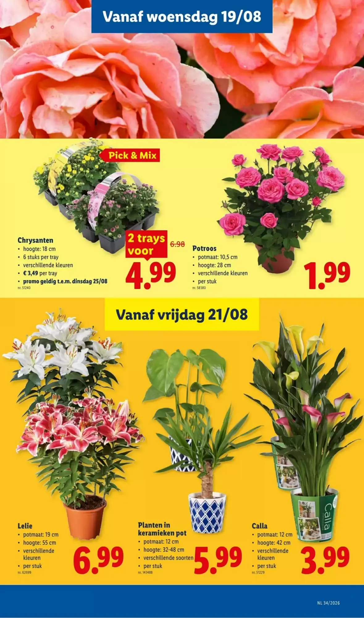 Lidl folder week 34 van 17 augustus tot 22 augustus 2026 - folder pagina 19