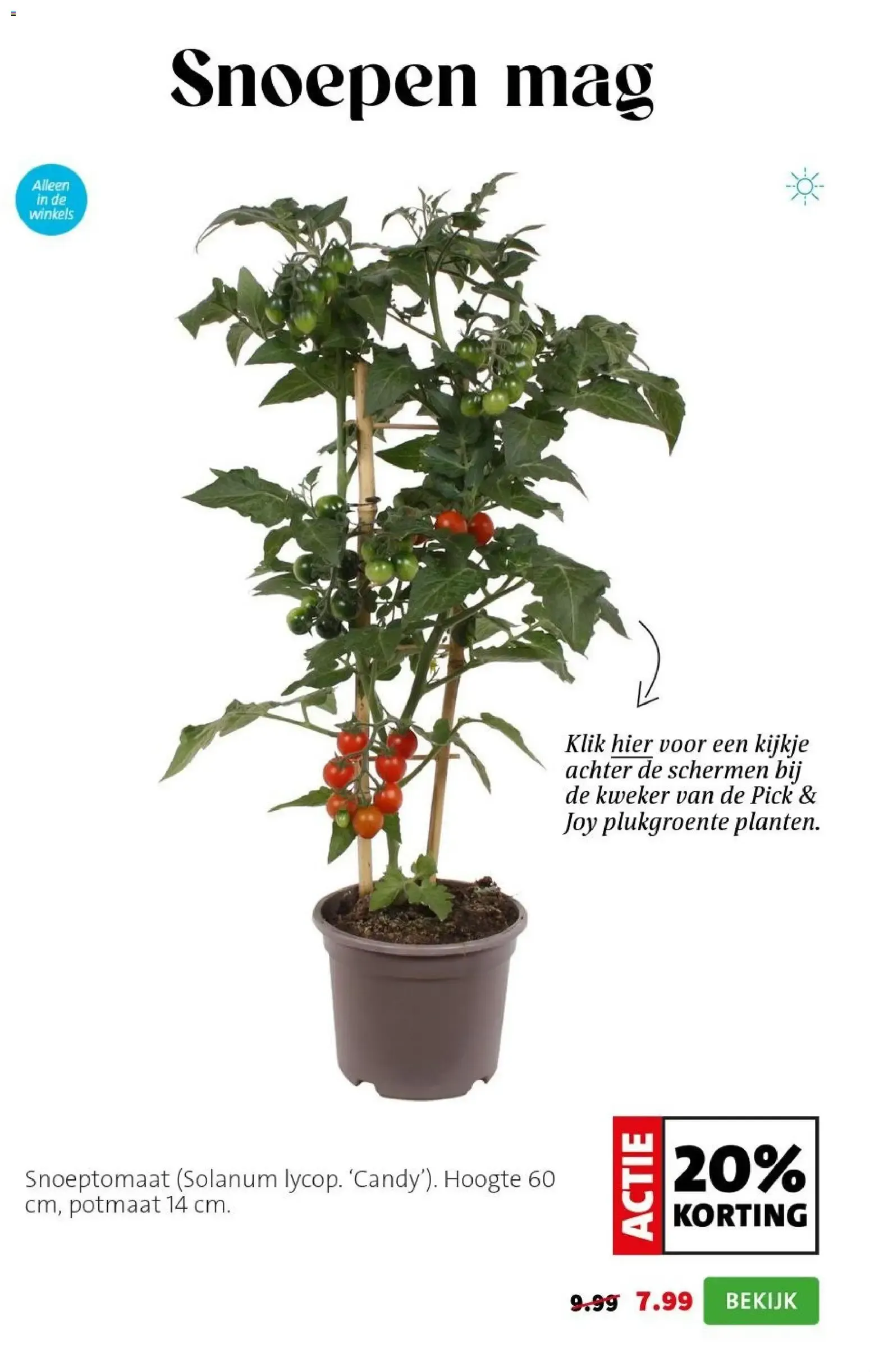 Intratuin: Een groene glimlach cadeau van 29 juni tot 5 juli 2026 - Folder pagina 3