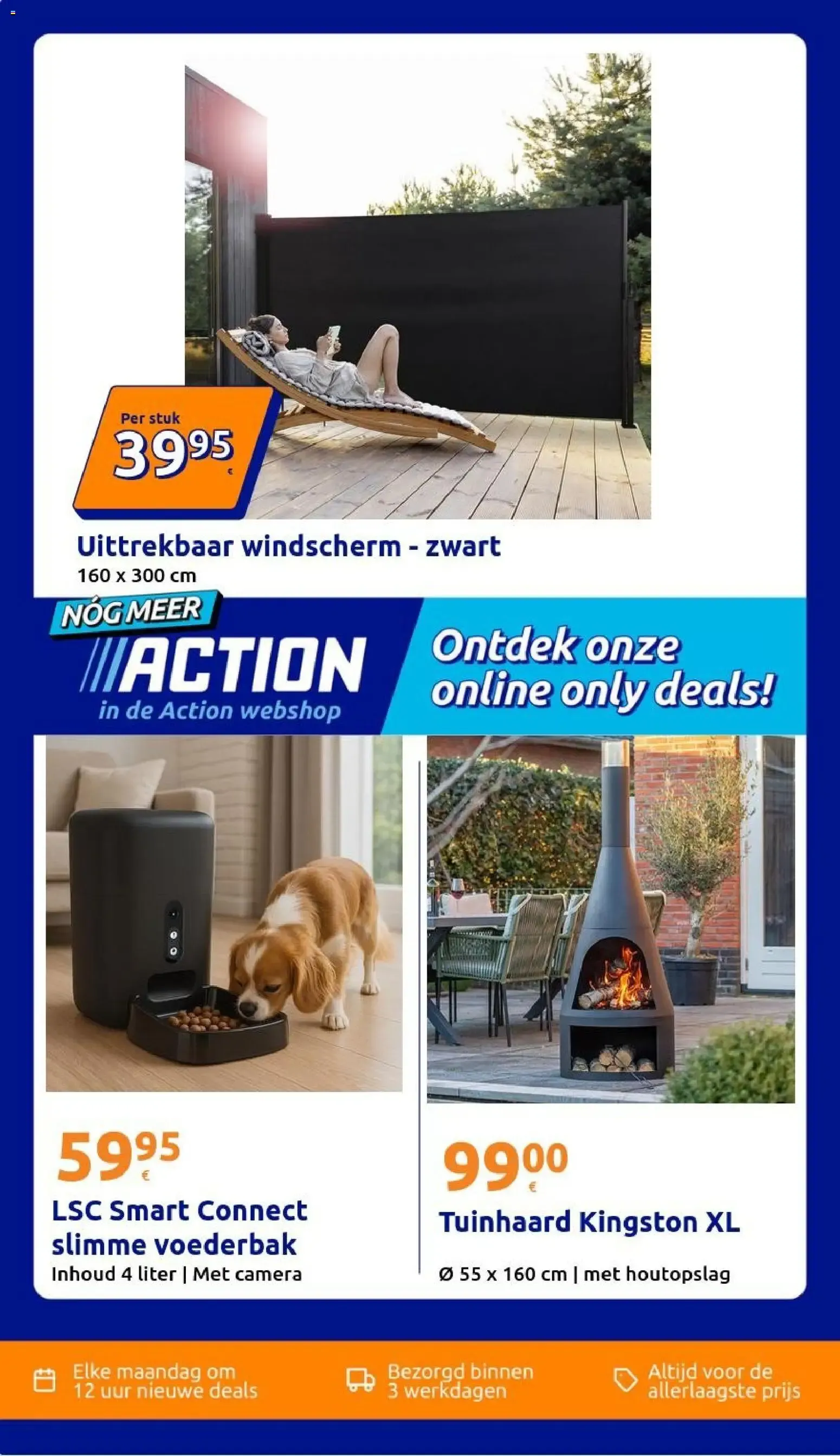 Action folder vanaf 17-06-2026 | volgende week van 17 juni tot 23 juni 2026 - Folder pagina 40