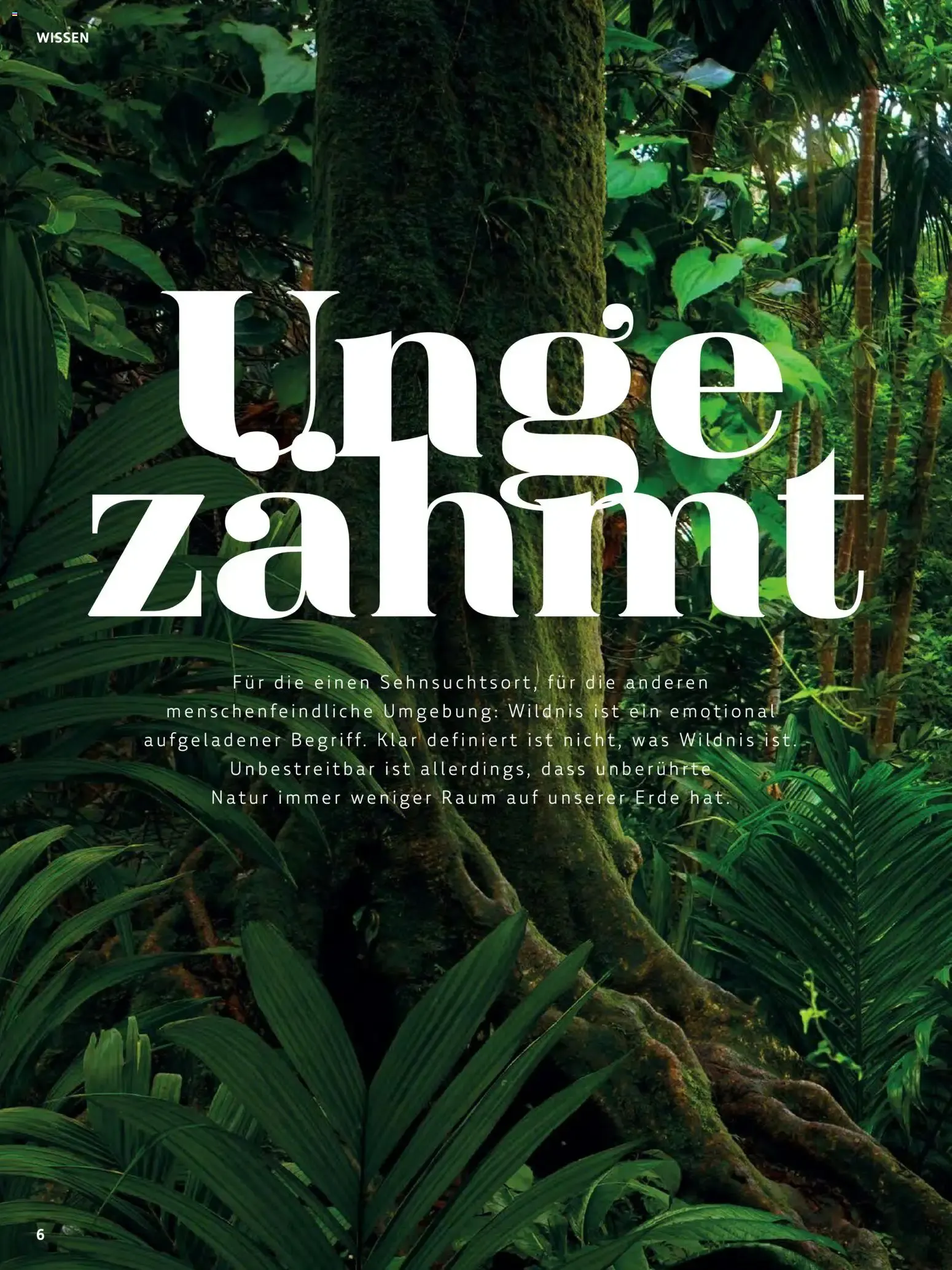 Das BioMarkt Magazin KREO von 17. Juli bis 30. September 2026 - Prospekt seite 6