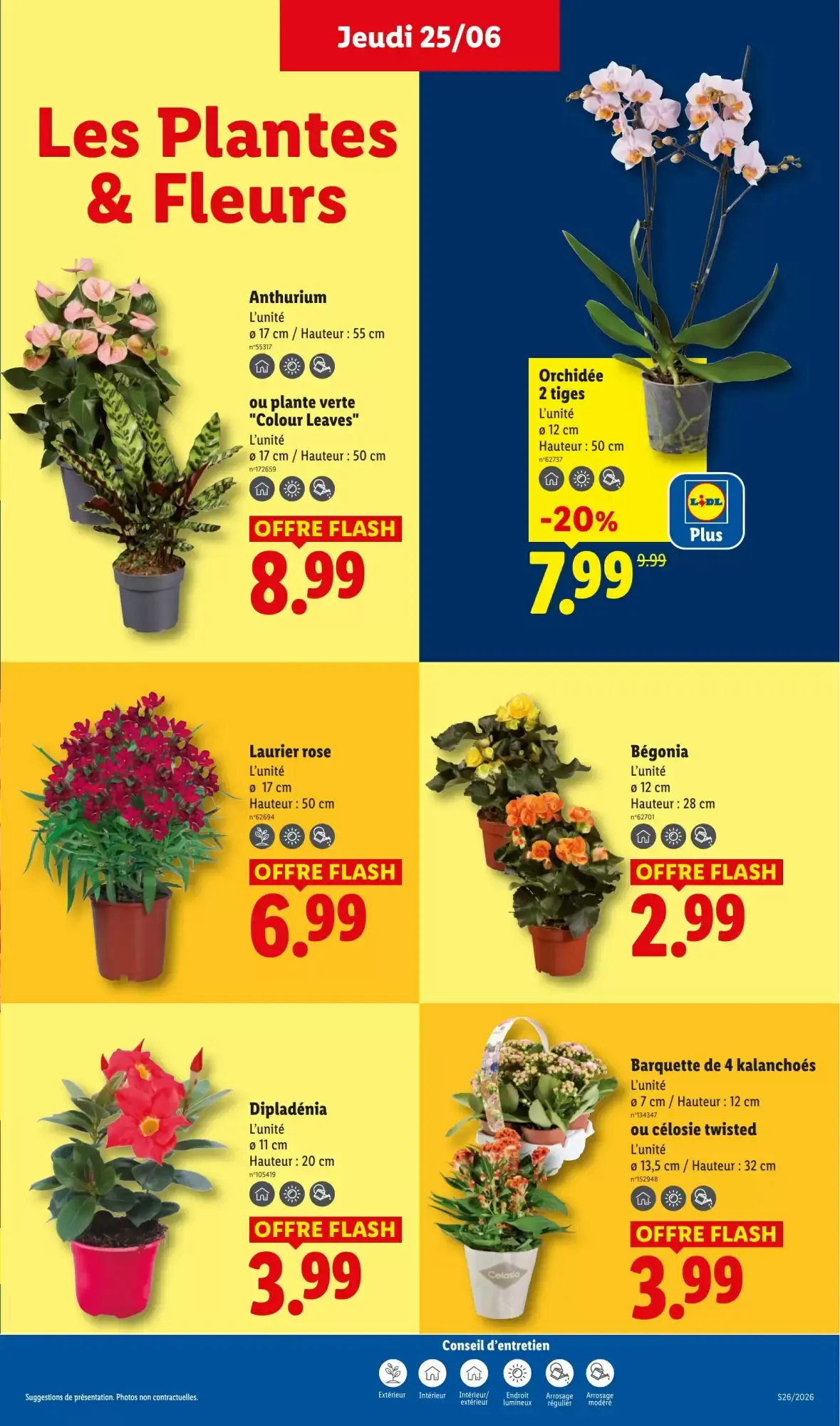 Lidl - Supportez les Bleus! Crivit x Olivier Giroud du 25 juin au 1 juillet 2026 - Catalogue page 29