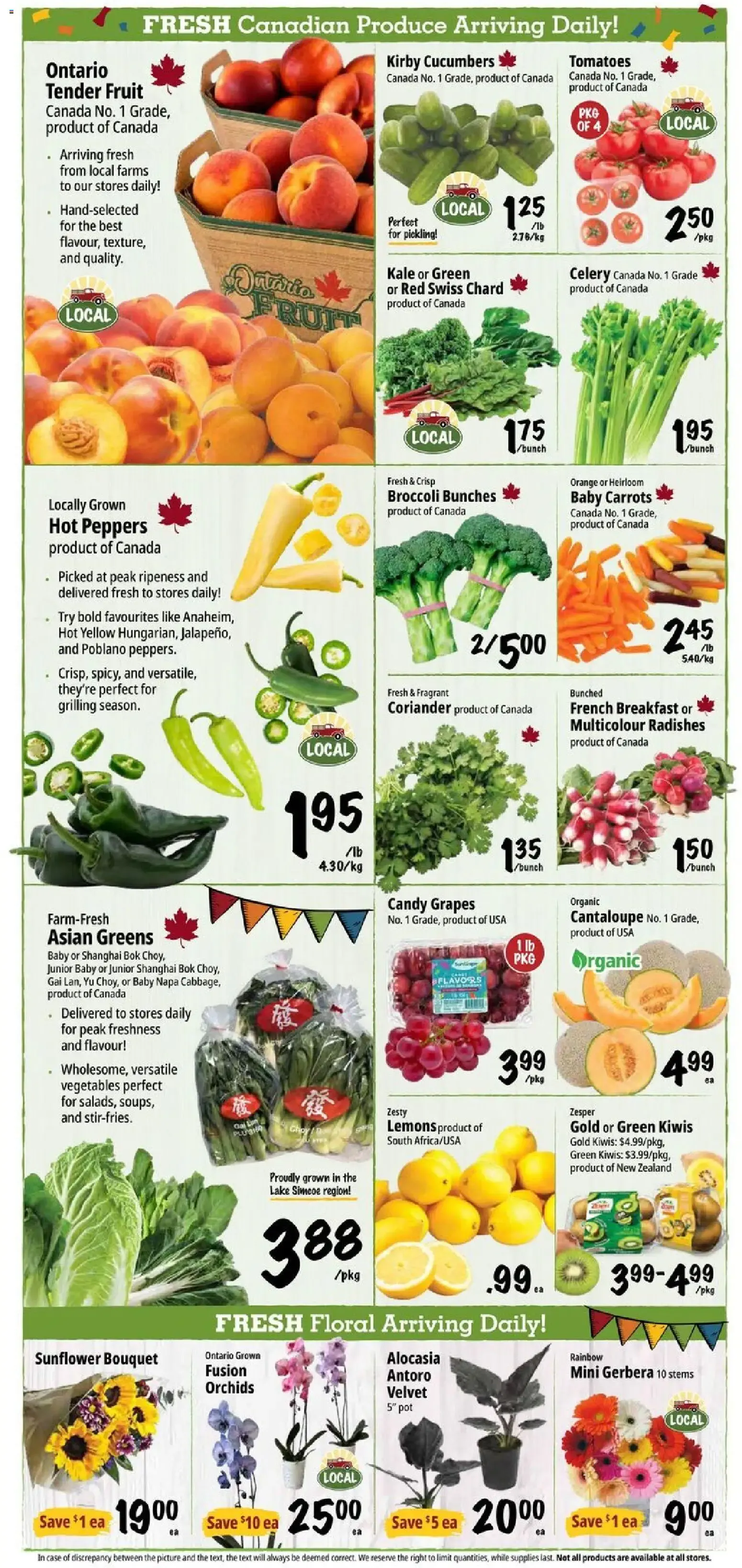 Farm Boy: Local. Fresh. Long Weekend Ready! Especiales vigentes del 30 de julio al 5 de agosto de 2026. from July 30 to August 5 2026 - flyer page 4