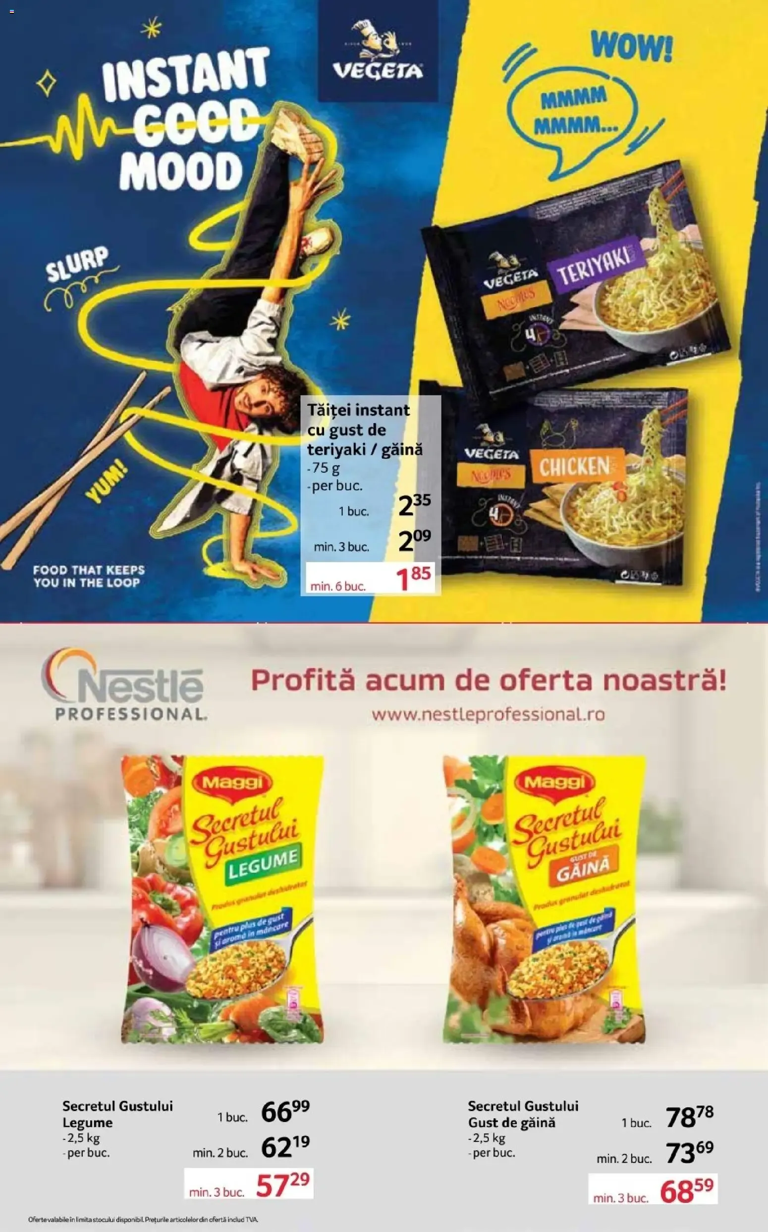 Catalog Selgros Catalog 16.10.2026 - Oferta online de la 16 octombrie până la 29 octombrie 2026 - Revista Pagina 17