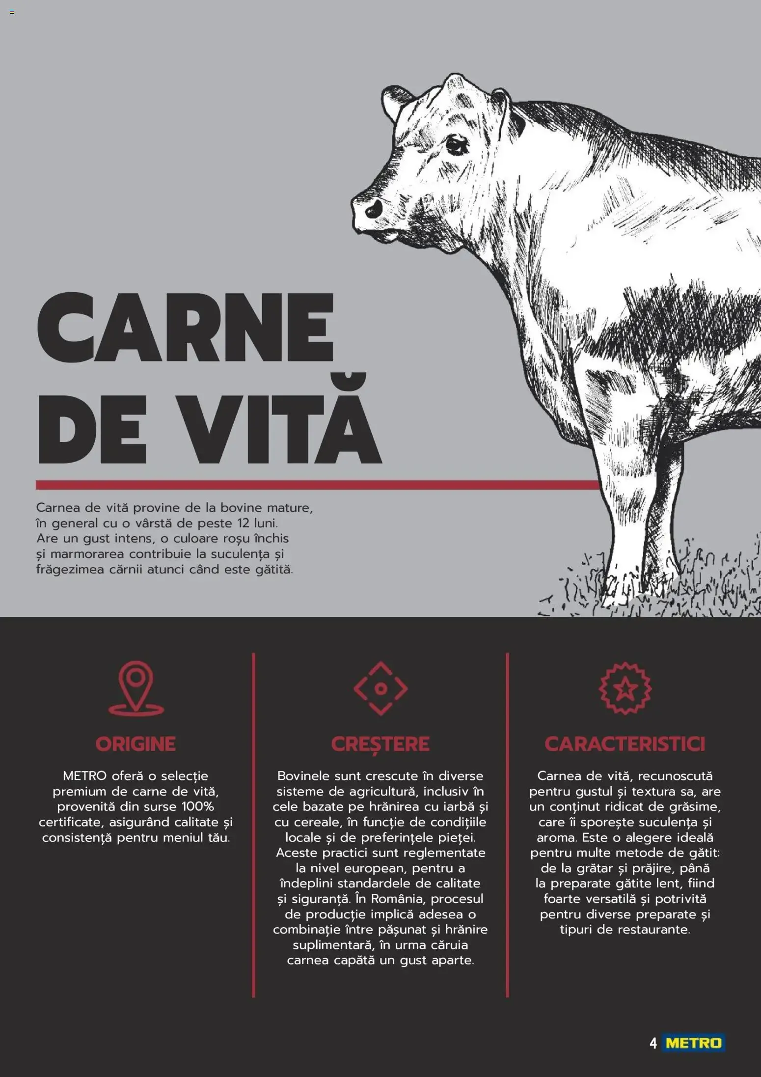 Catalog Metro catalog - Carne pentru Profesioniști - Oferta 03.06.2025 - 31.12.2026 de la 3 iunie până la 31 decembrie 2026 - Revista Pagina 4