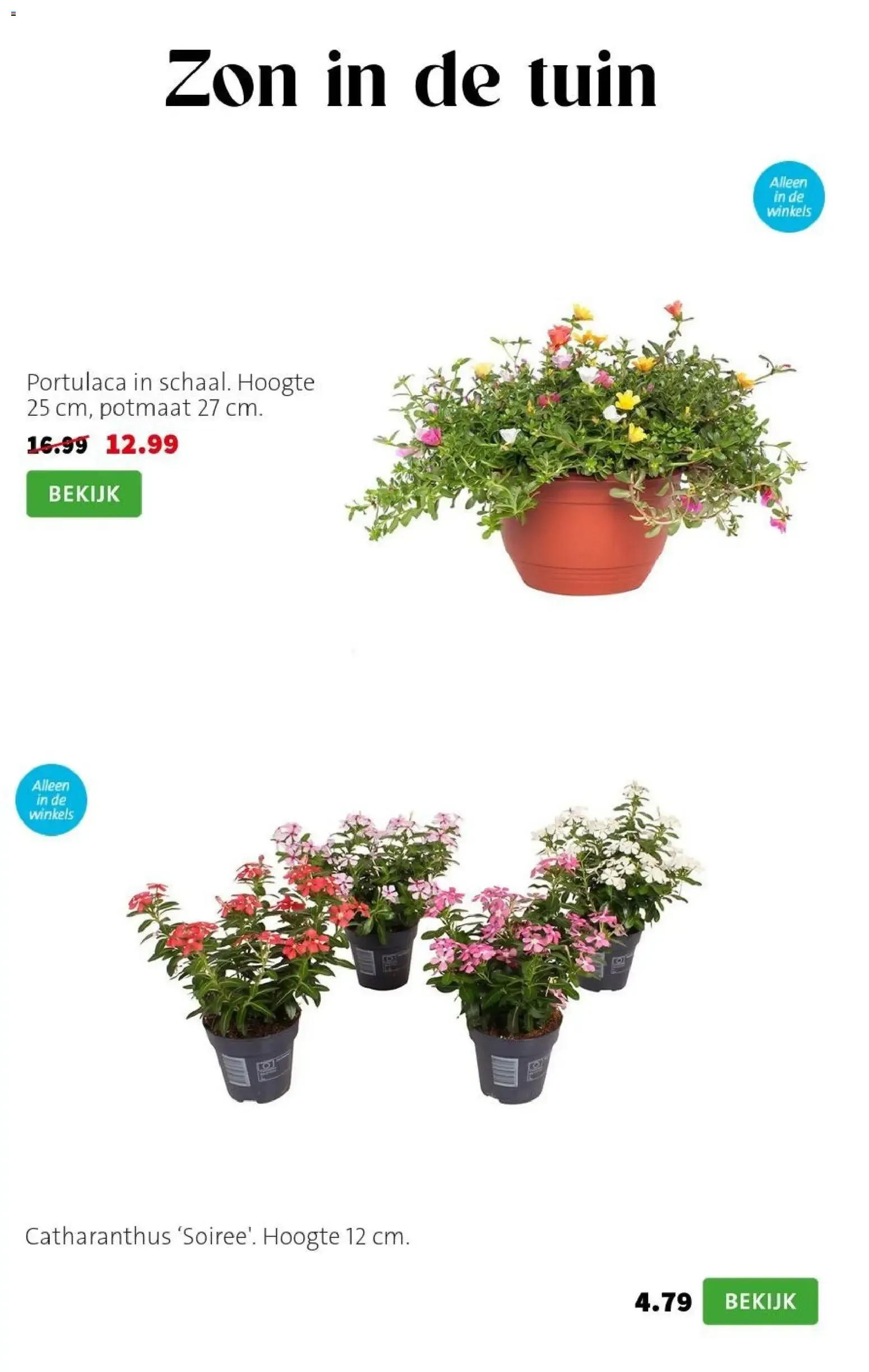 Intratuin Planten-feestje van 20 juli tot 26 juli 2026 - Folder pagina 5