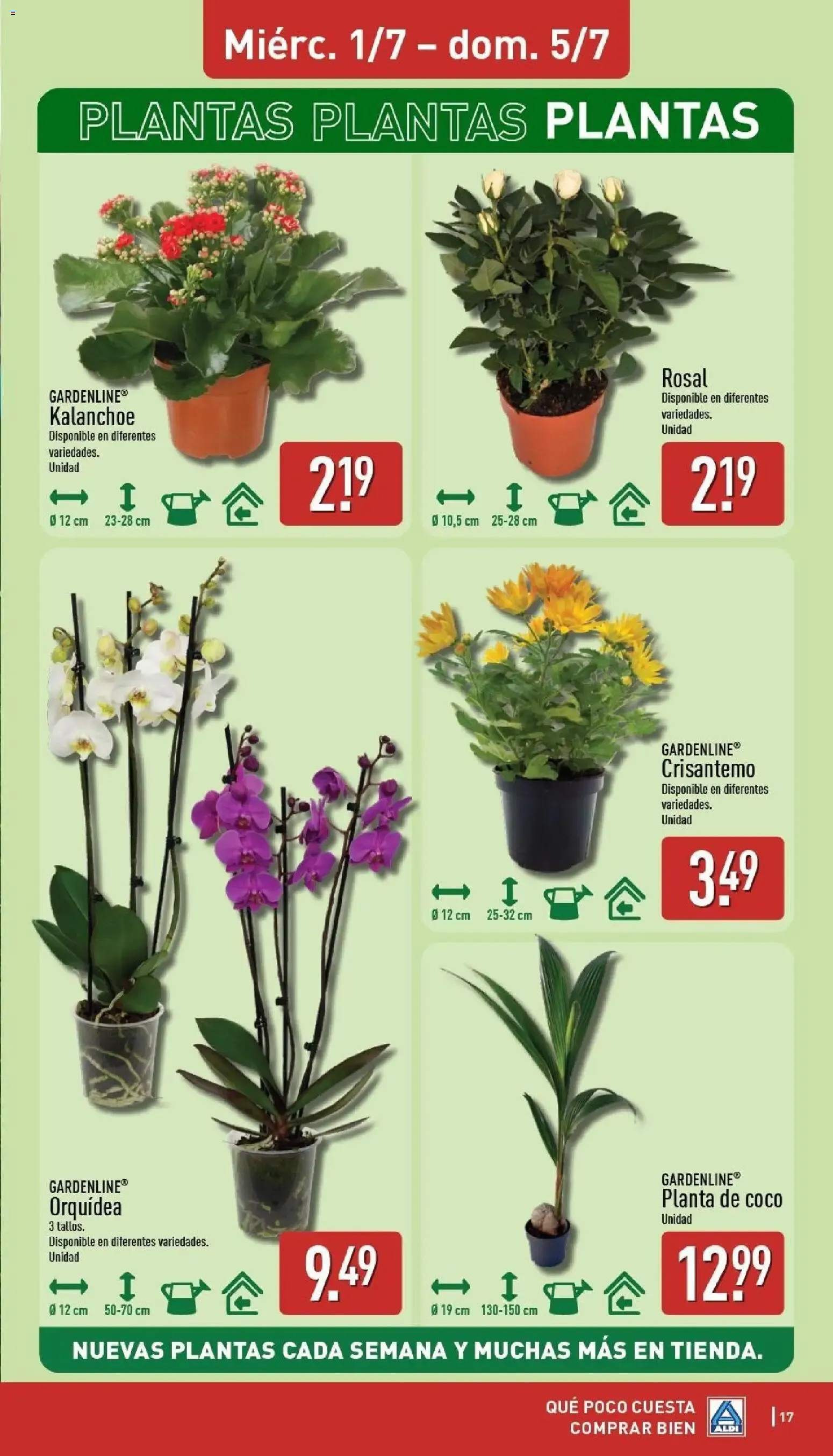 Catálogo de ALDI: Un baño de frescura al mejor precio. 29 de junio al 5 de julio 2026 - Página 17