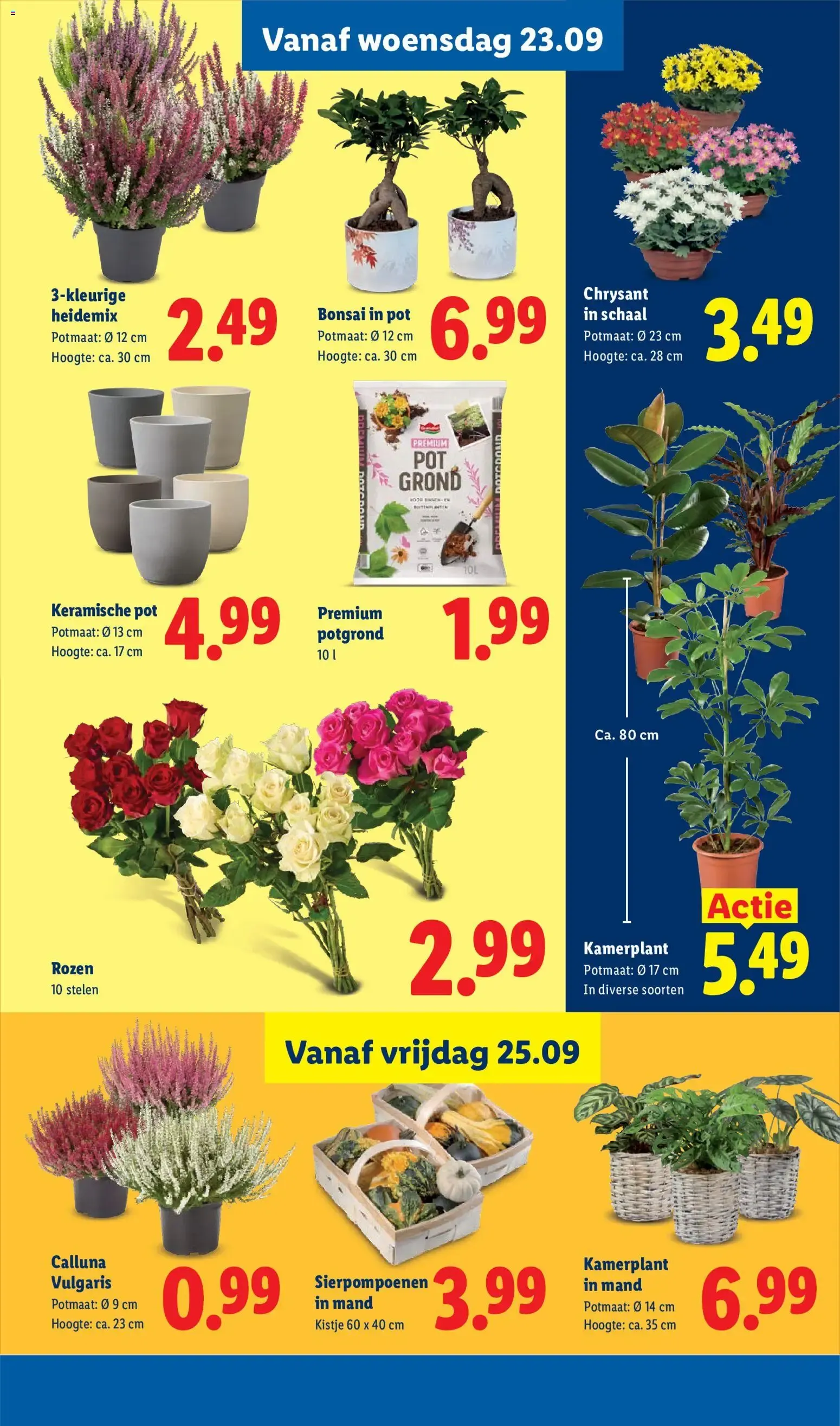 Lidl Deals van 21 september tot 27 september 2026 - Folder pagina 16
